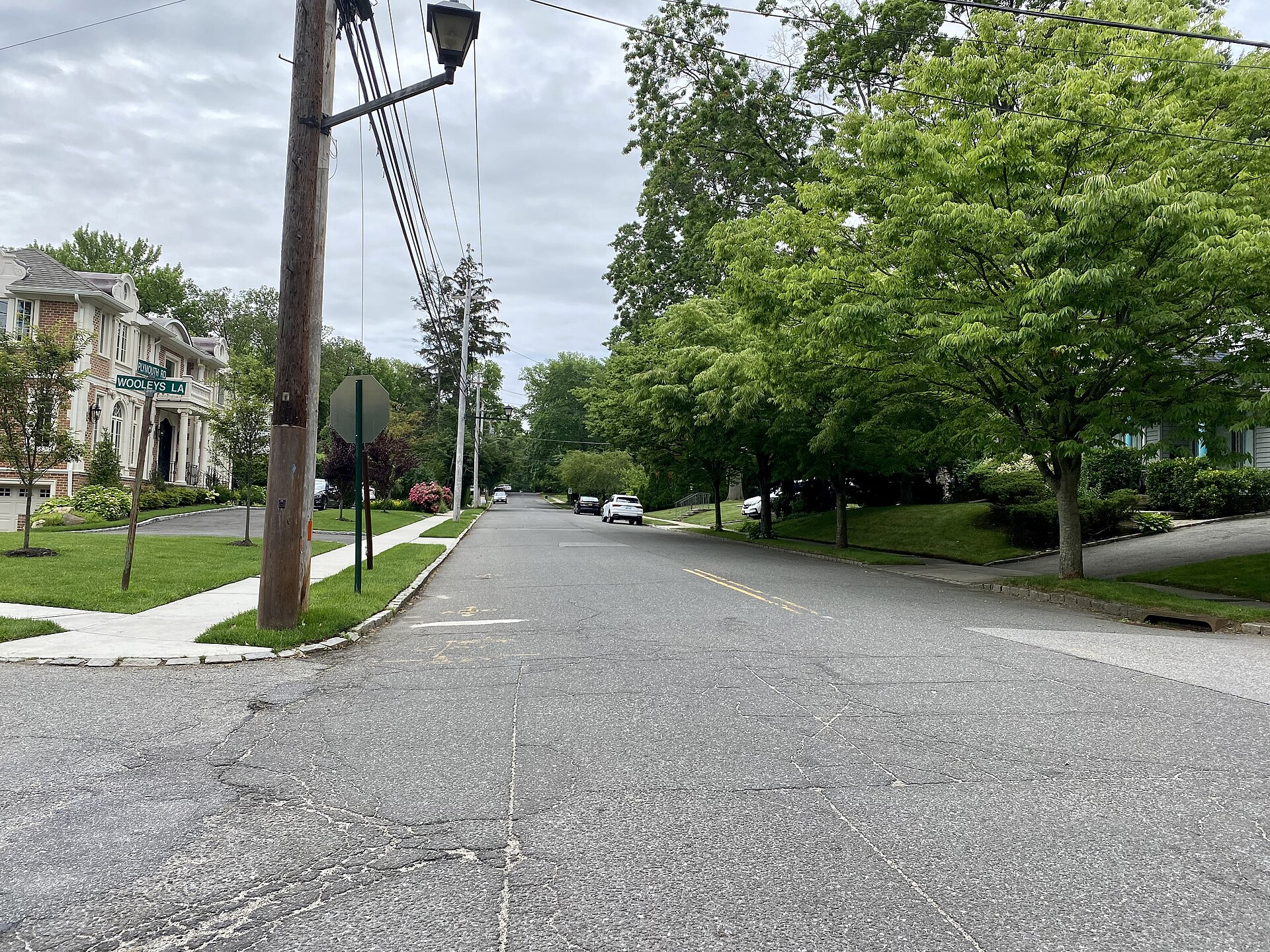 A street in Great Neck Gardens, Long Island, New York. This photo was taken on June 11, 2021.