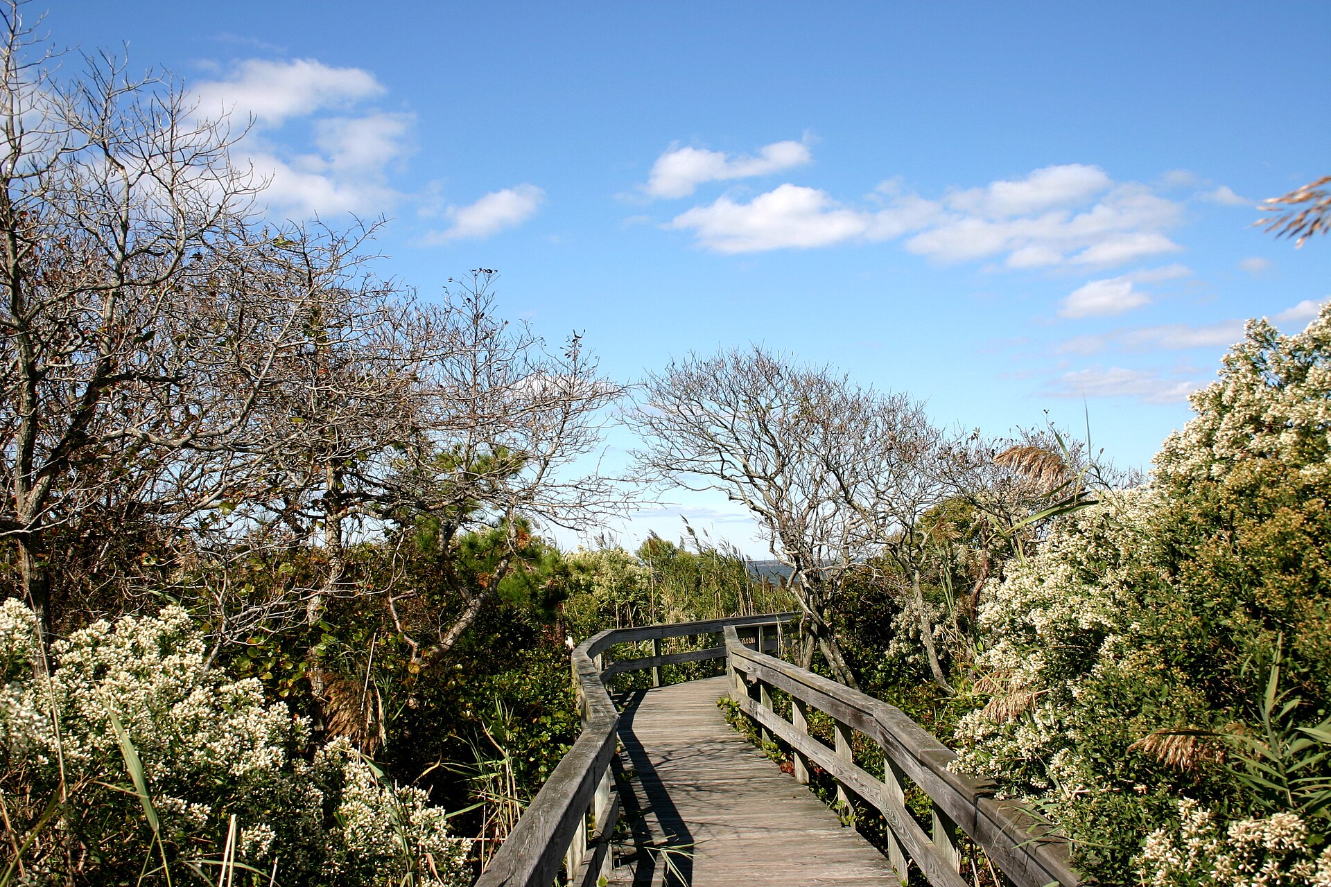 Steg auf Fire Island, in der Nähe von Ocean Beach — New York