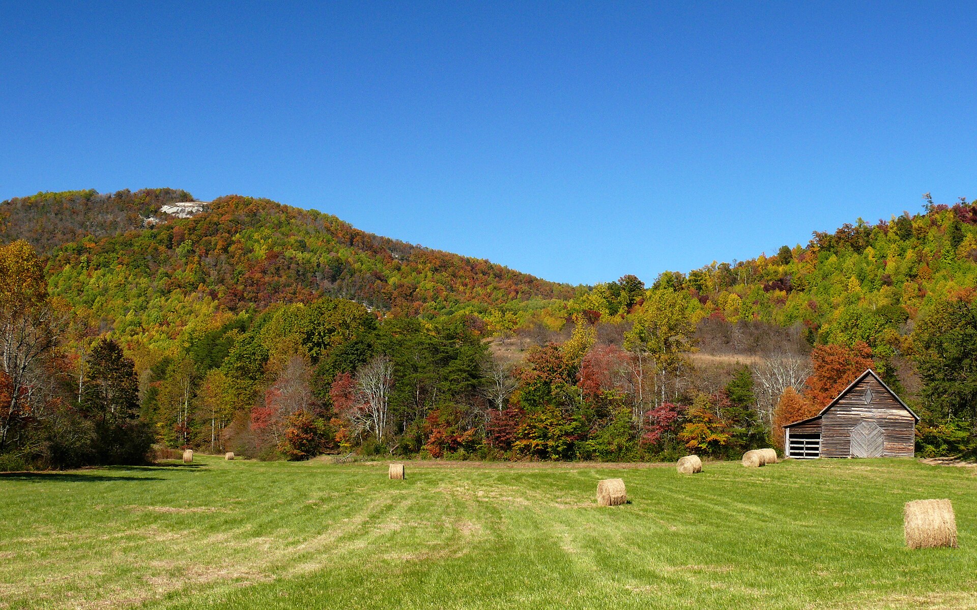Looking northwest from Mount Olive Church Road, up Seth Deal Branch towards Bald Rock Mountain in the Brushy Mountain range.Photo taken with a Panasonic Lumix DMC-FZ50 in Alexander County, NC, USA. — North Carolina