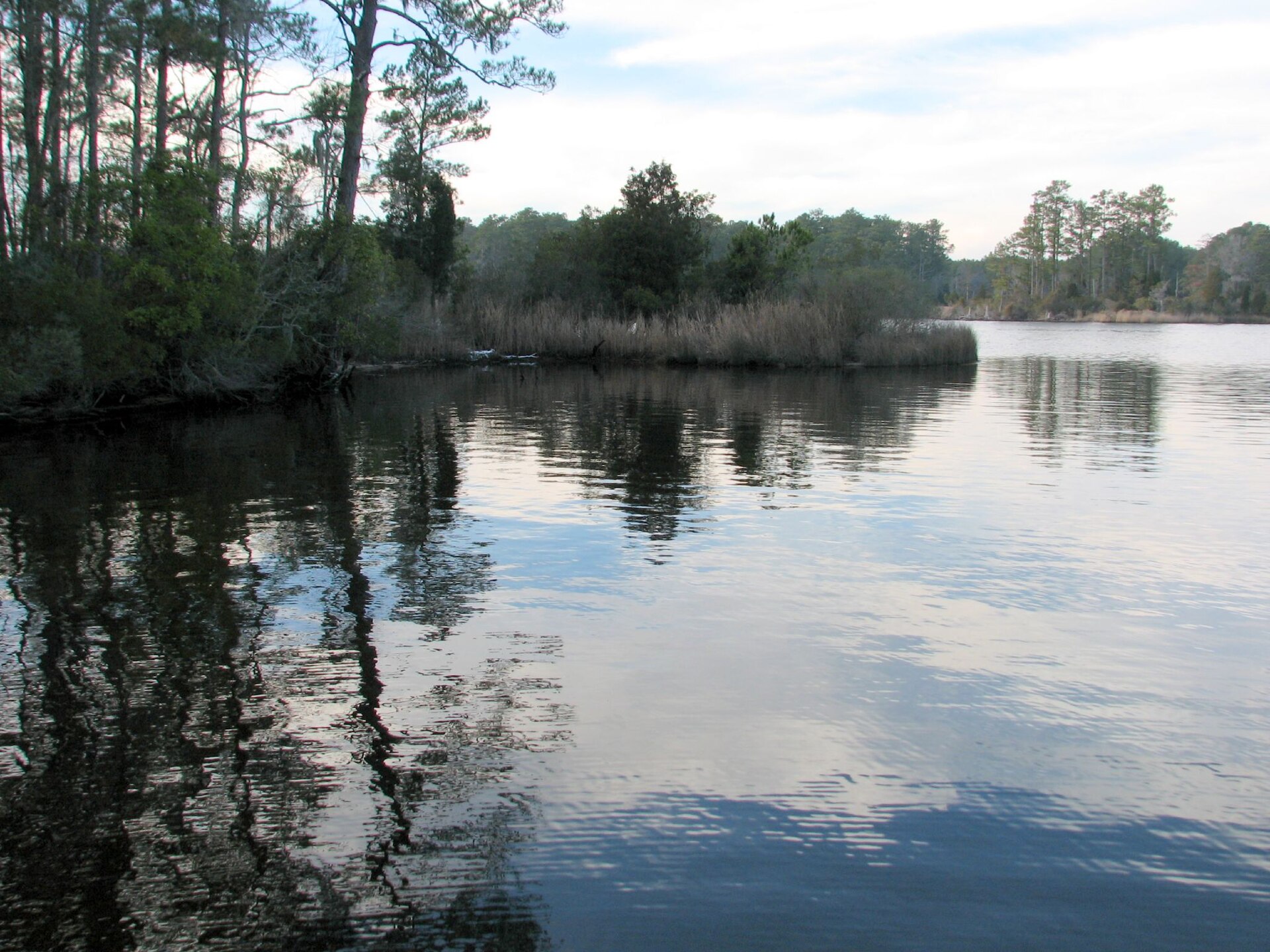 Goose Creek State Park — Beaufort County, North Carolina