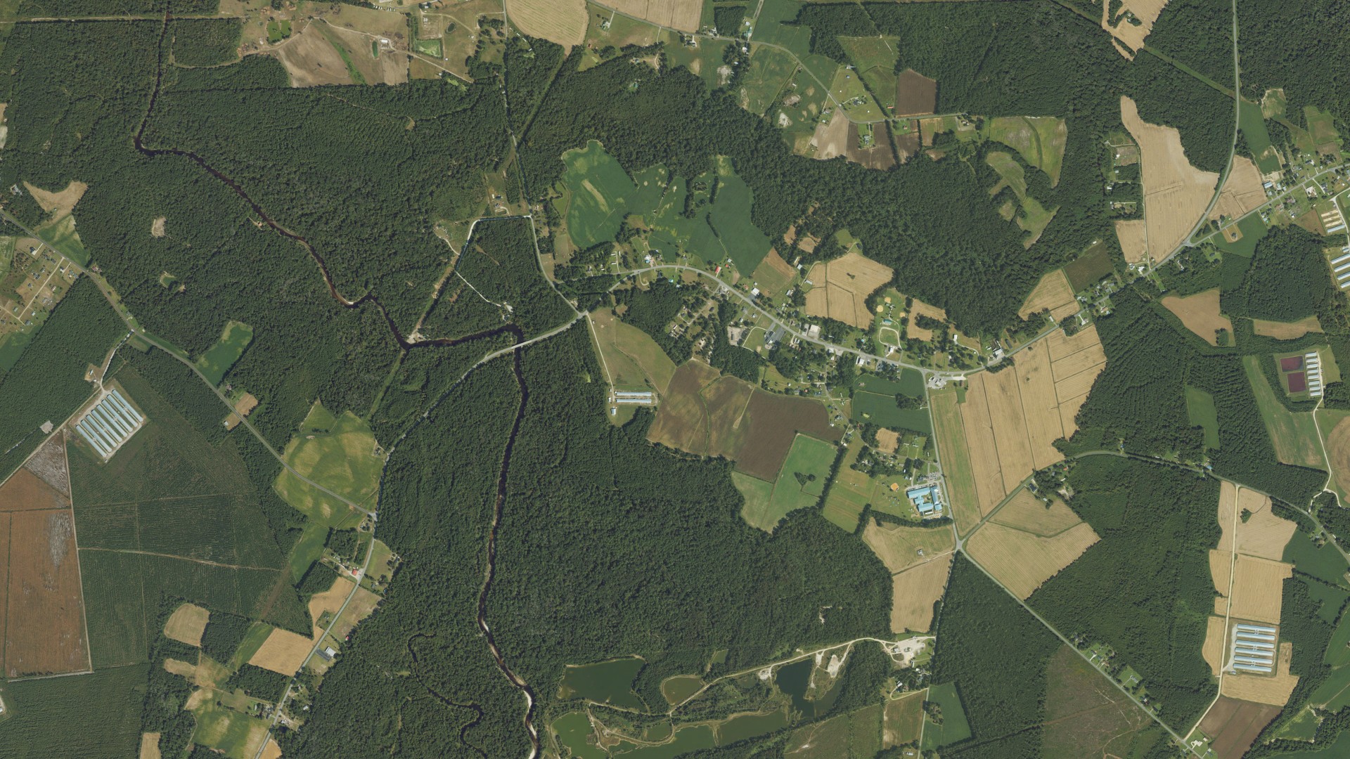 Natural-color aerial photograph of land around Chinquapin, North Carolina