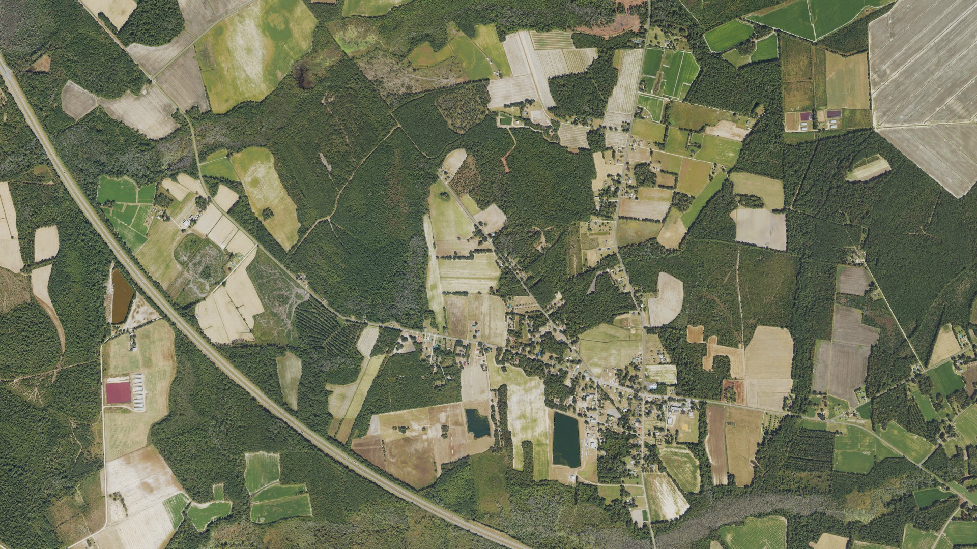 Natural-color aerial photograph of land around Evergreen, North Carolina