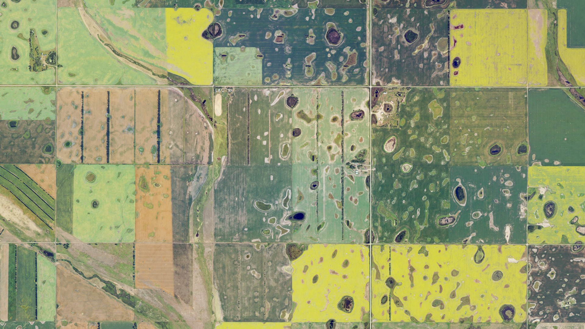 Natural-color aerial photograph of land around Elms, North Dakota
