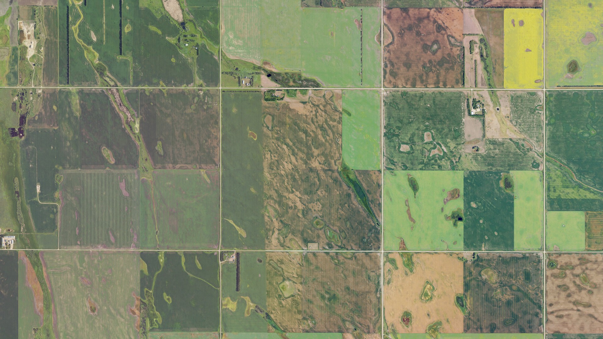 Natural-color aerial photograph of land around Scotia, North Dakota