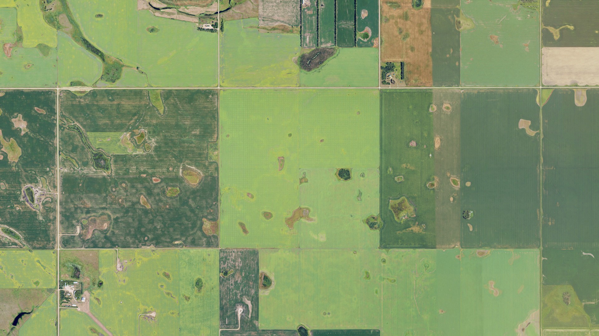 Natural-color aerial photograph of land around Starbuck, North Dakota