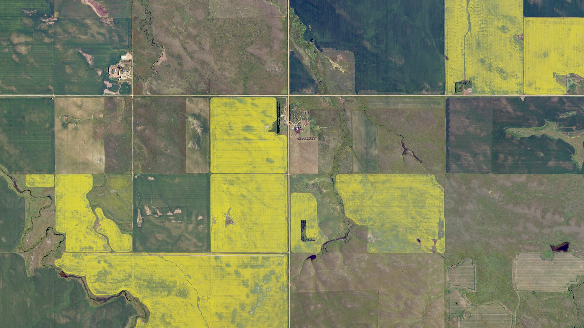 Natural-color aerial photograph of land around Buena Vista, North Dakota