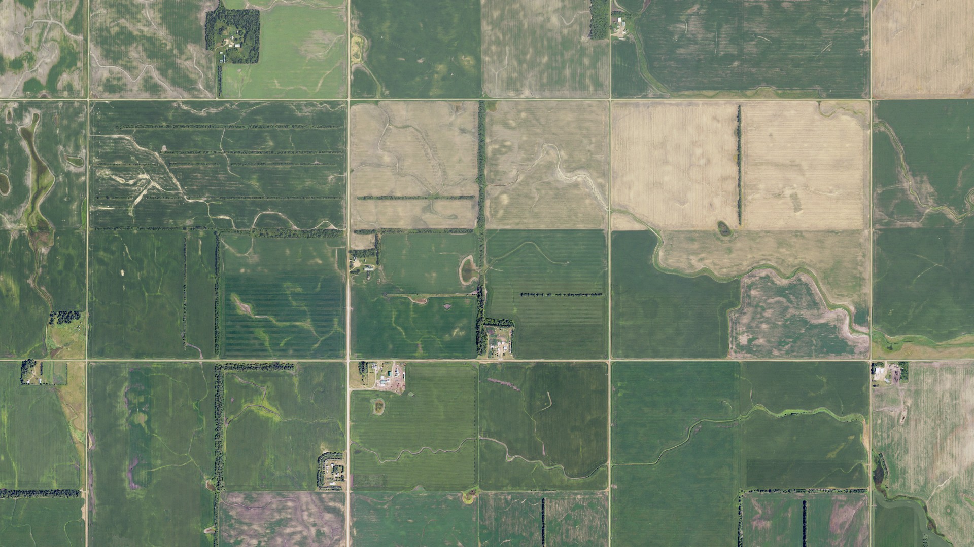 Natural-color aerial photograph of land around Buffalo, North Dakota