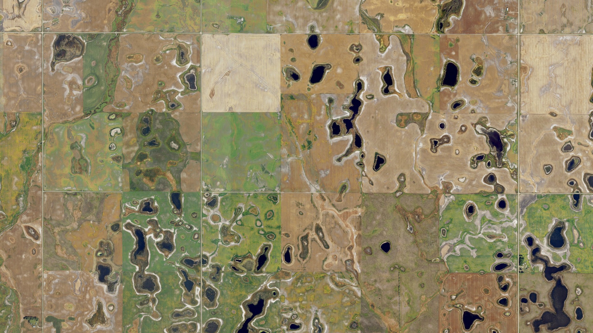 Aerial view of land around Seivert, North Dakota