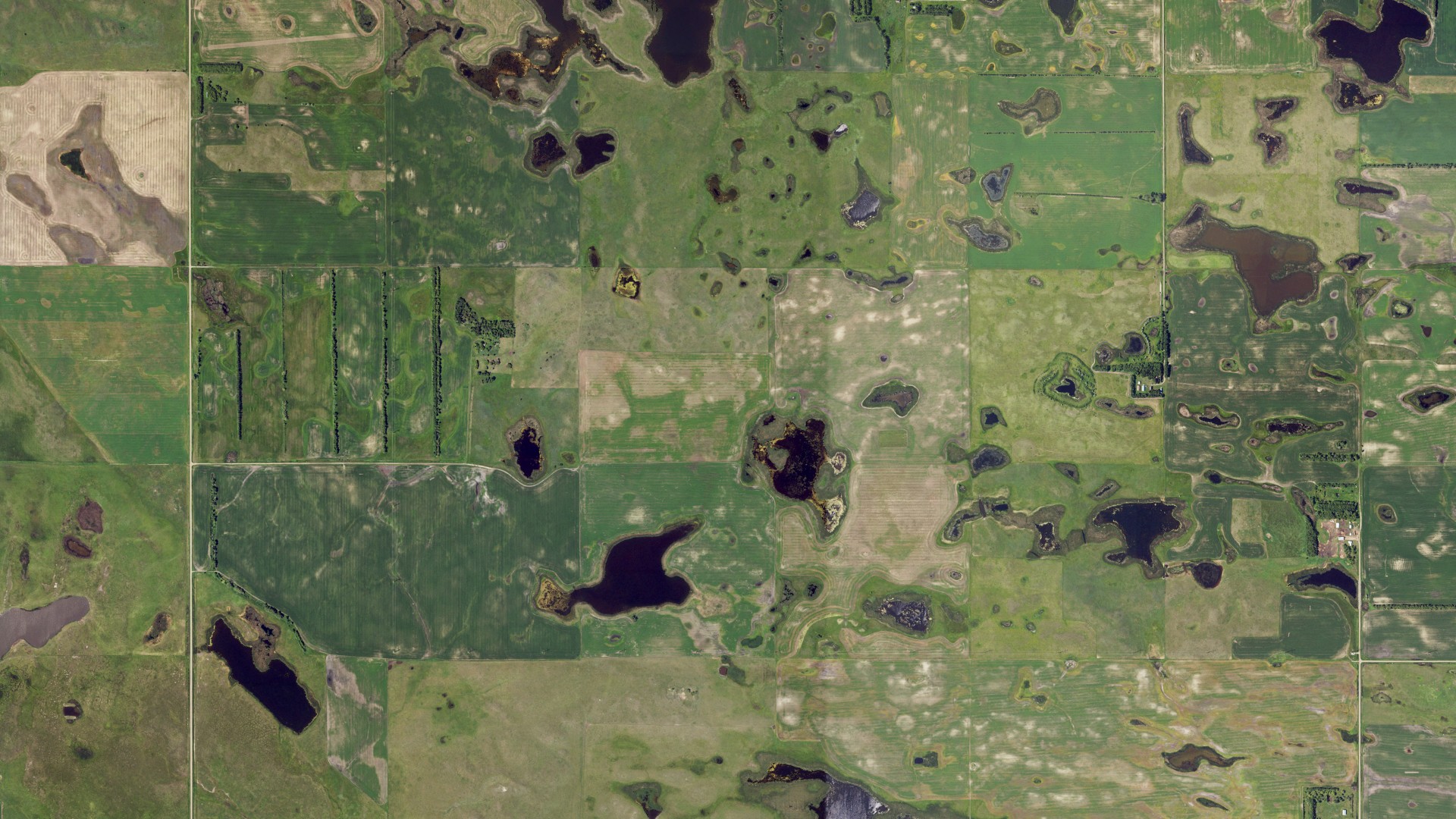 Aerial view of land around Florance, North Dakota