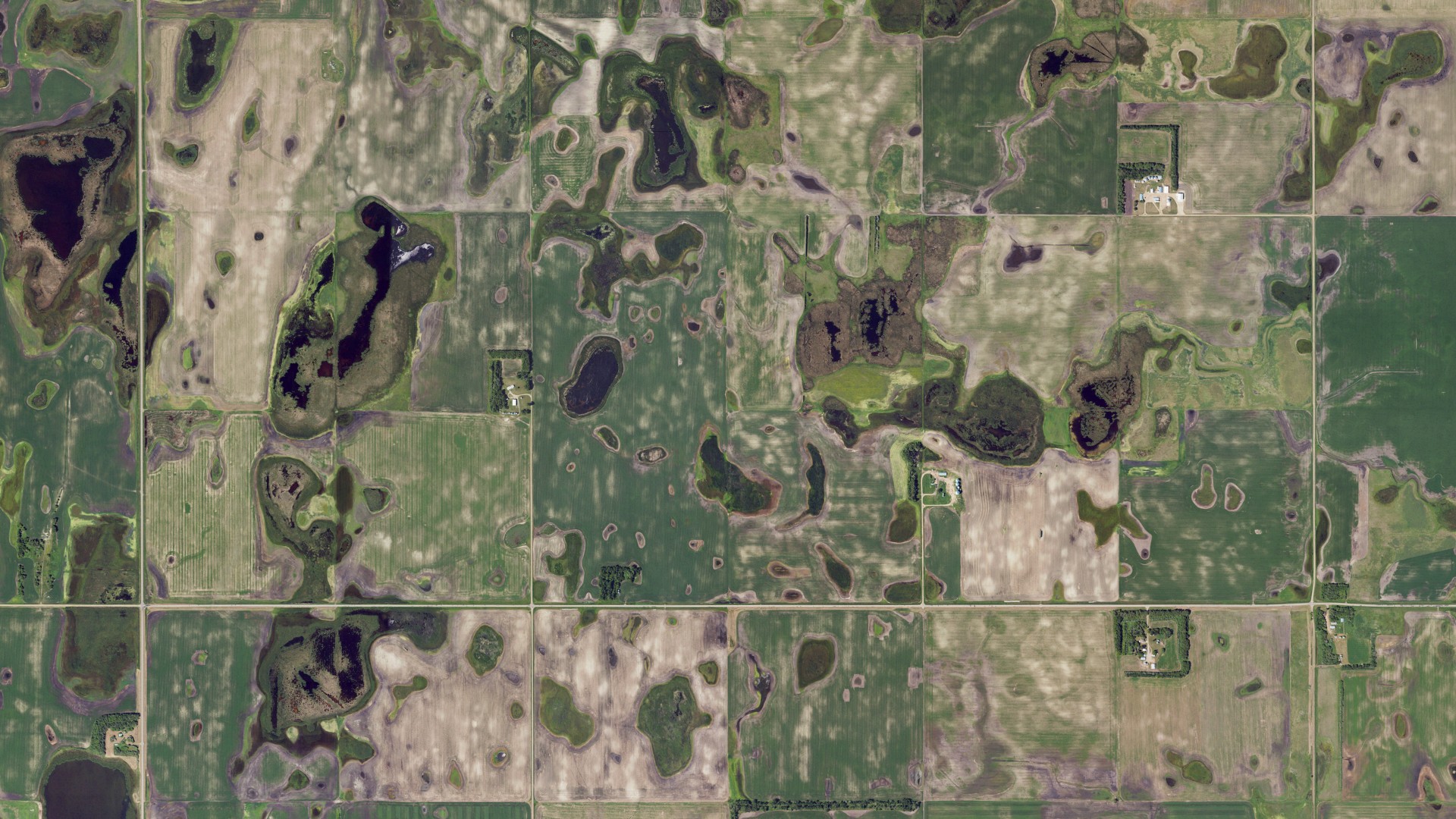 Natural-color aerial photograph of land around McKinnon, North Dakota