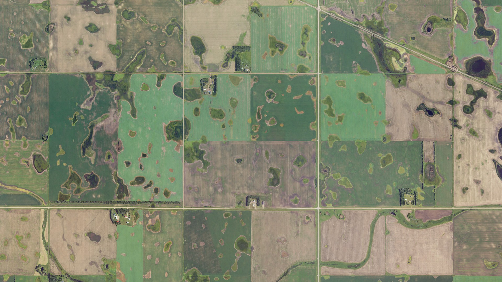 Aerial view of land around North Prairie, North Dakota