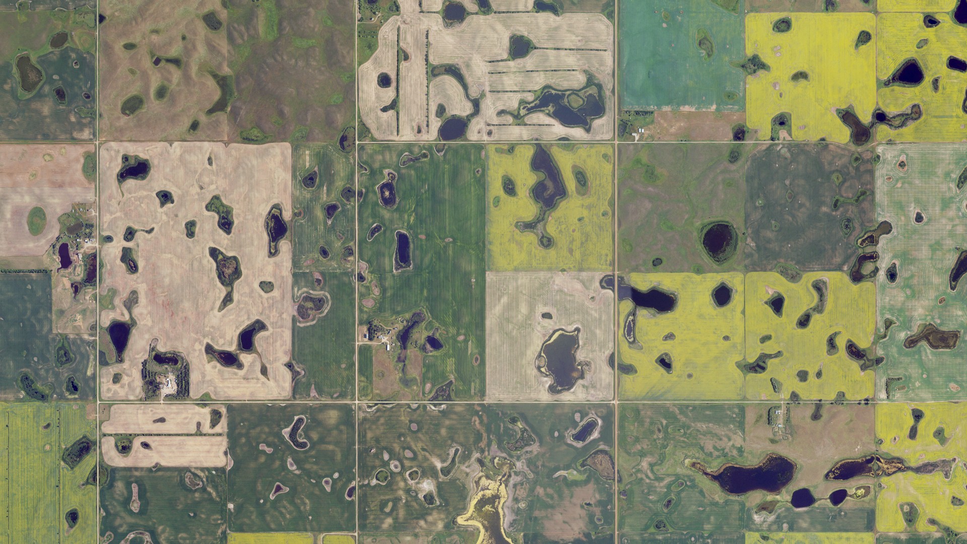 Natural-color aerial photograph of land around Osloe, North Dakota