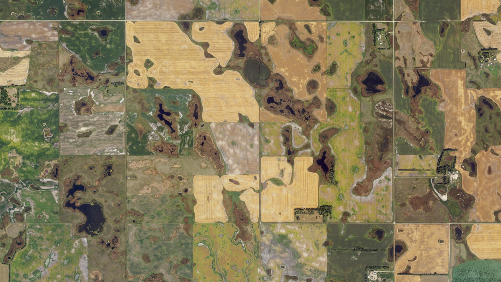 Aerial view of land around Petersburg, North Dakota