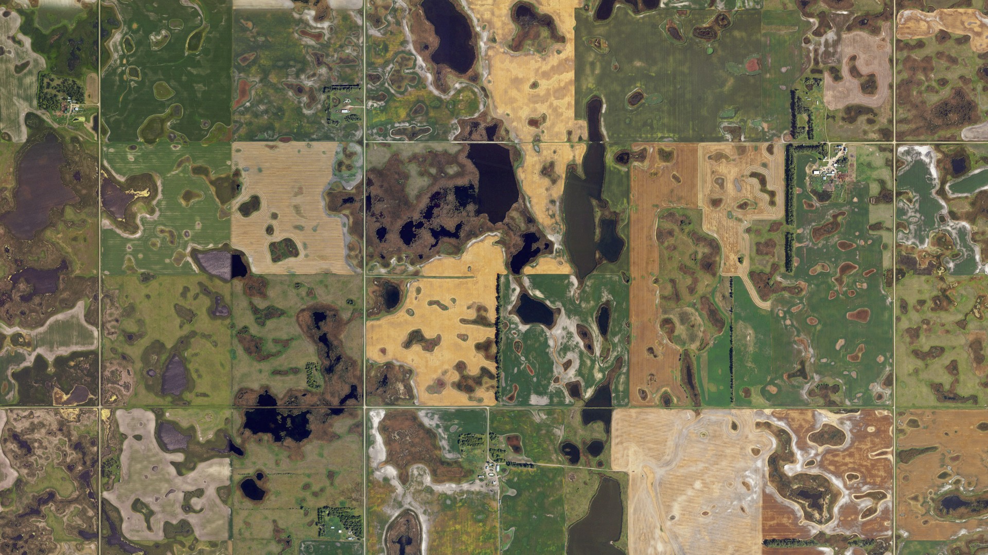 Aerial view of land around Williams, North Dakota