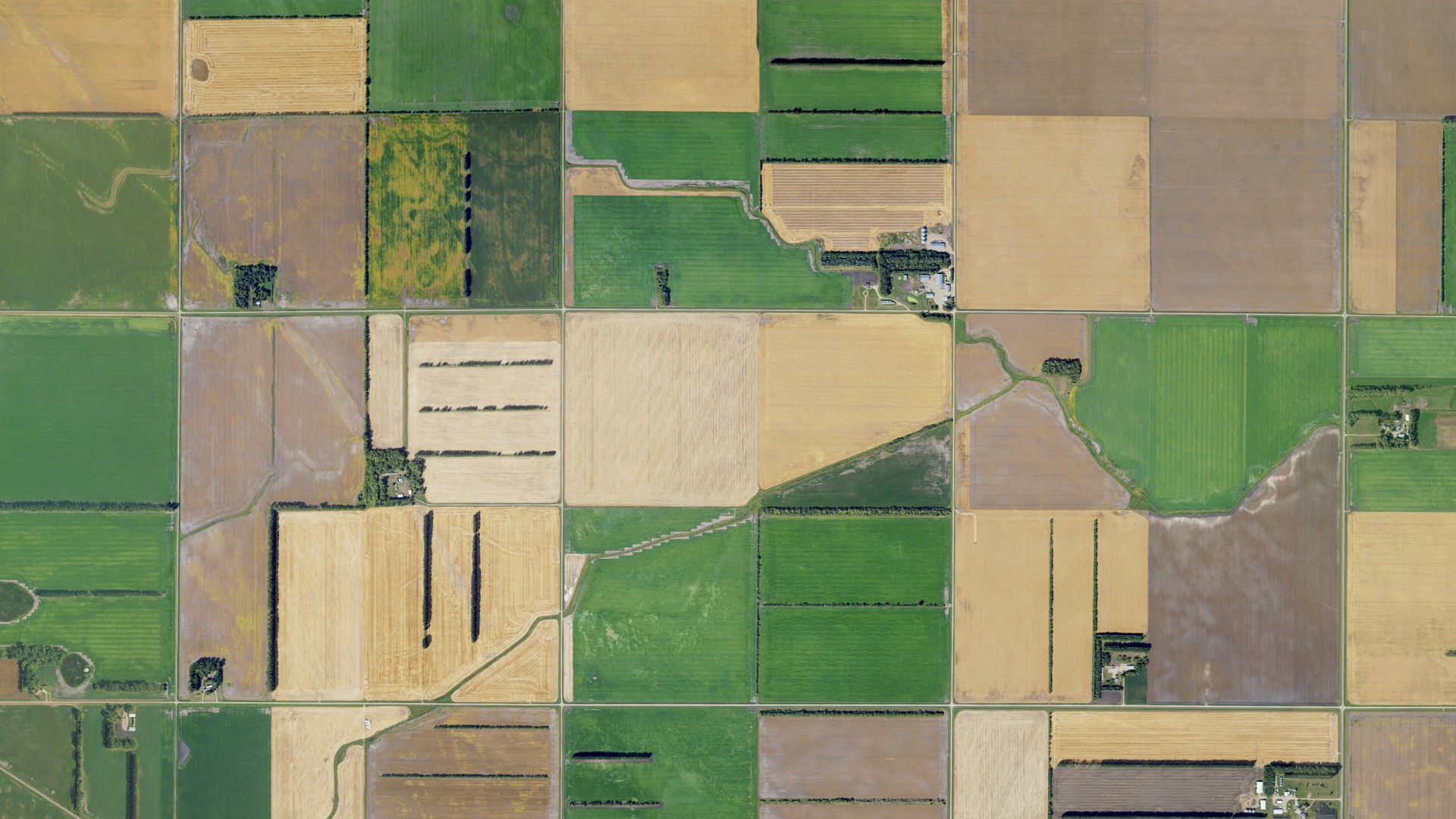 Natural-color aerial photograph of land around Cavalier, North Dakota
