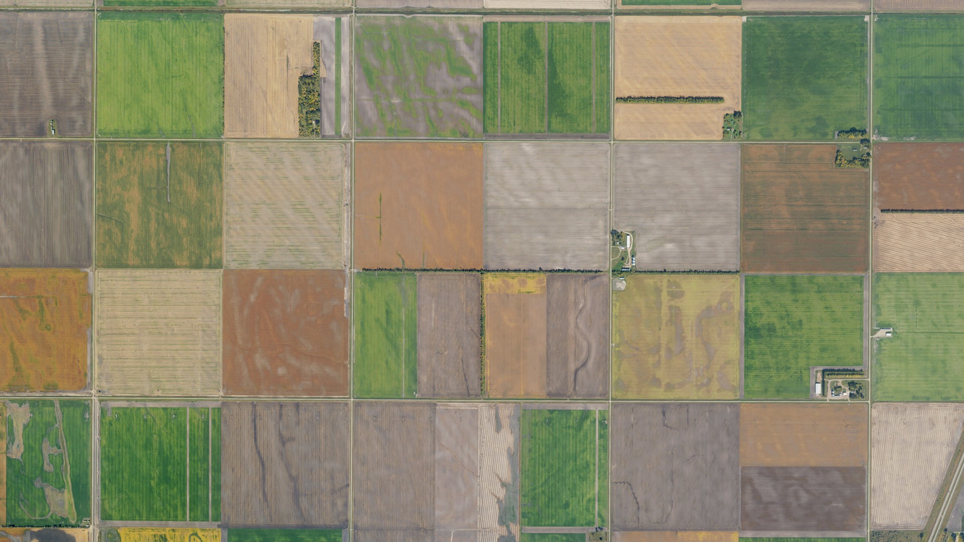 Aerial view of land around Drayton, North Dakota