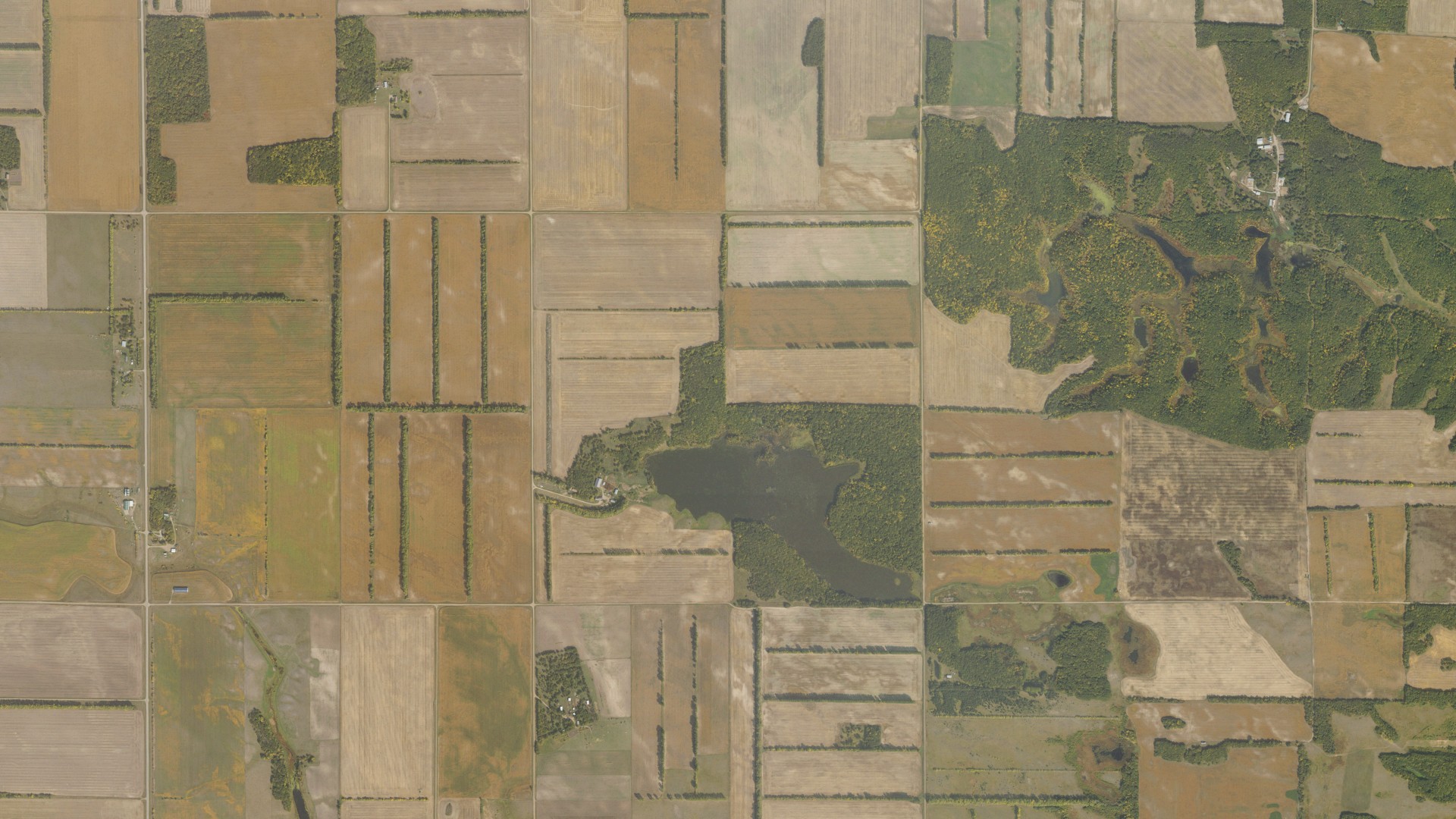 Aerial view of land around La Moure, North Dakota