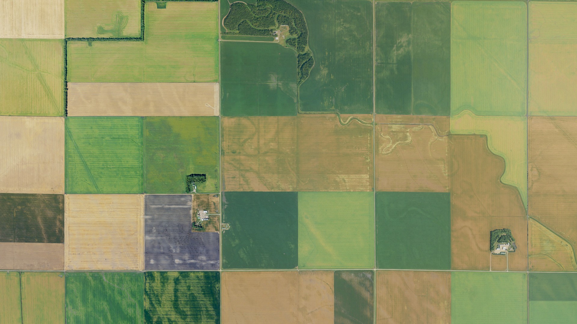 Aerial view of land around Neche, North Dakota