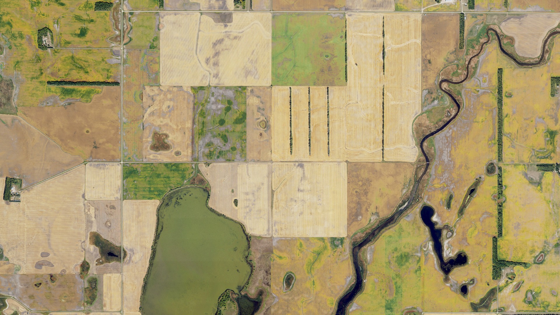 Aerial view of land around Morris, North Dakota