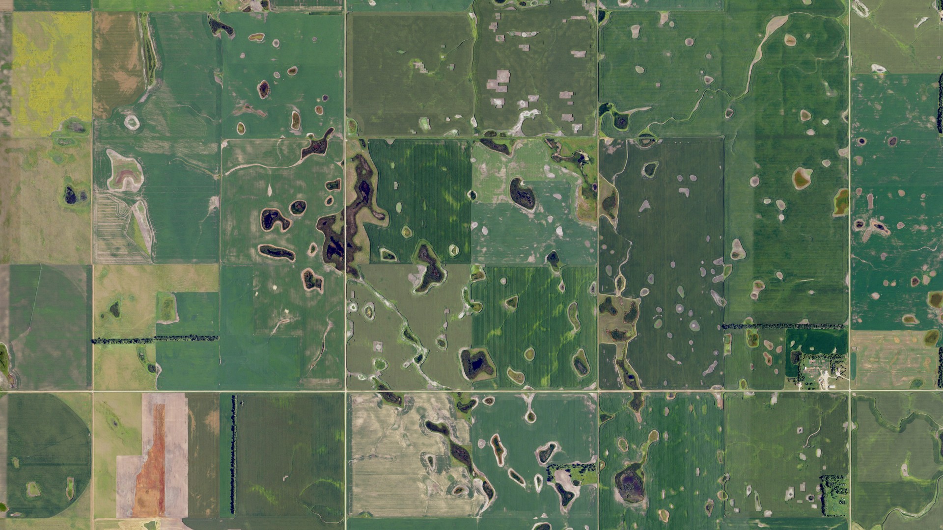 Natural-color aerial photograph of land around Elliott, North Dakota