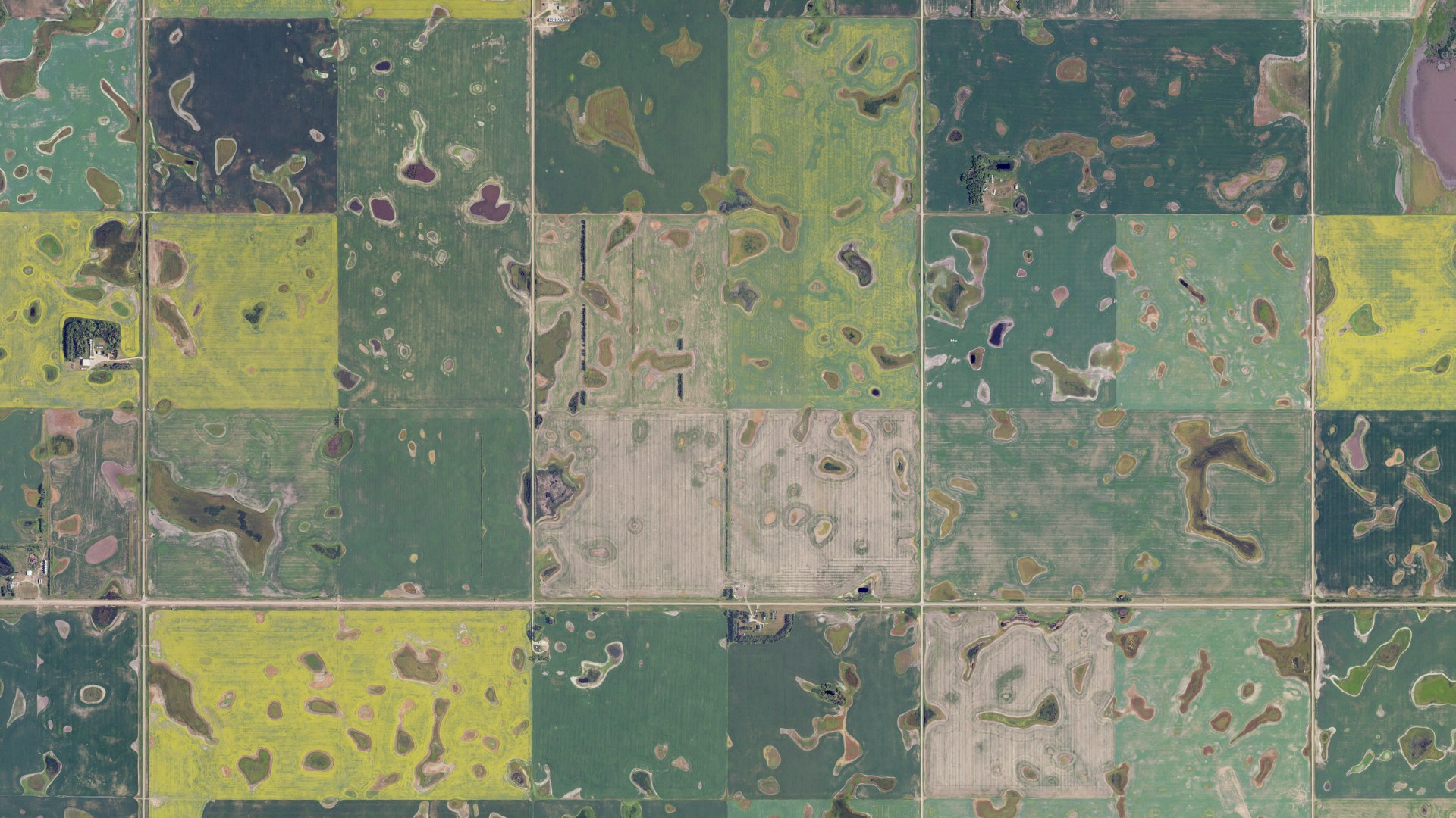 Aerial view of land around Fairbanks, North Dakota