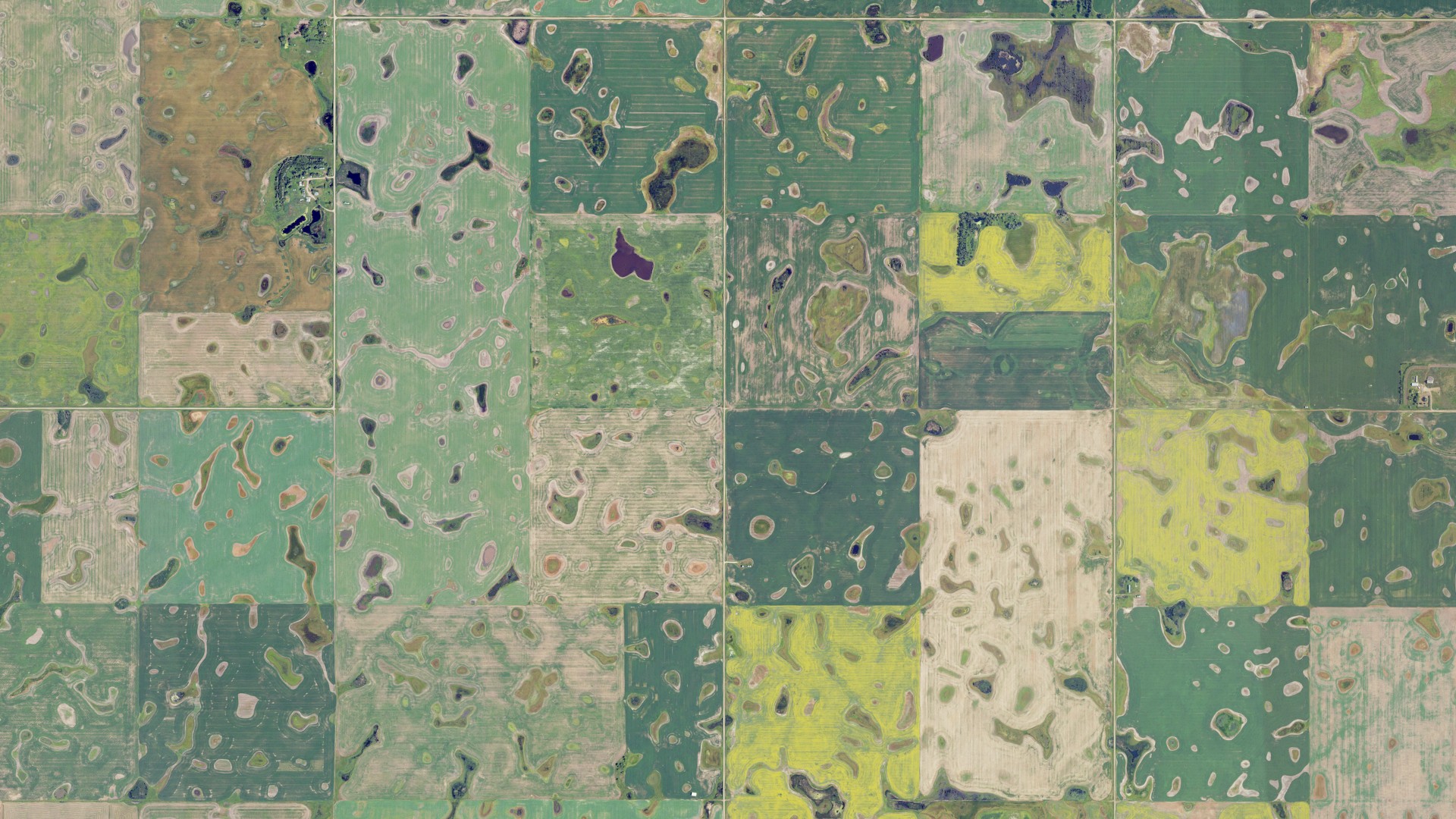 Natural-color aerial photograph of land around Ivanhoe, North Dakota