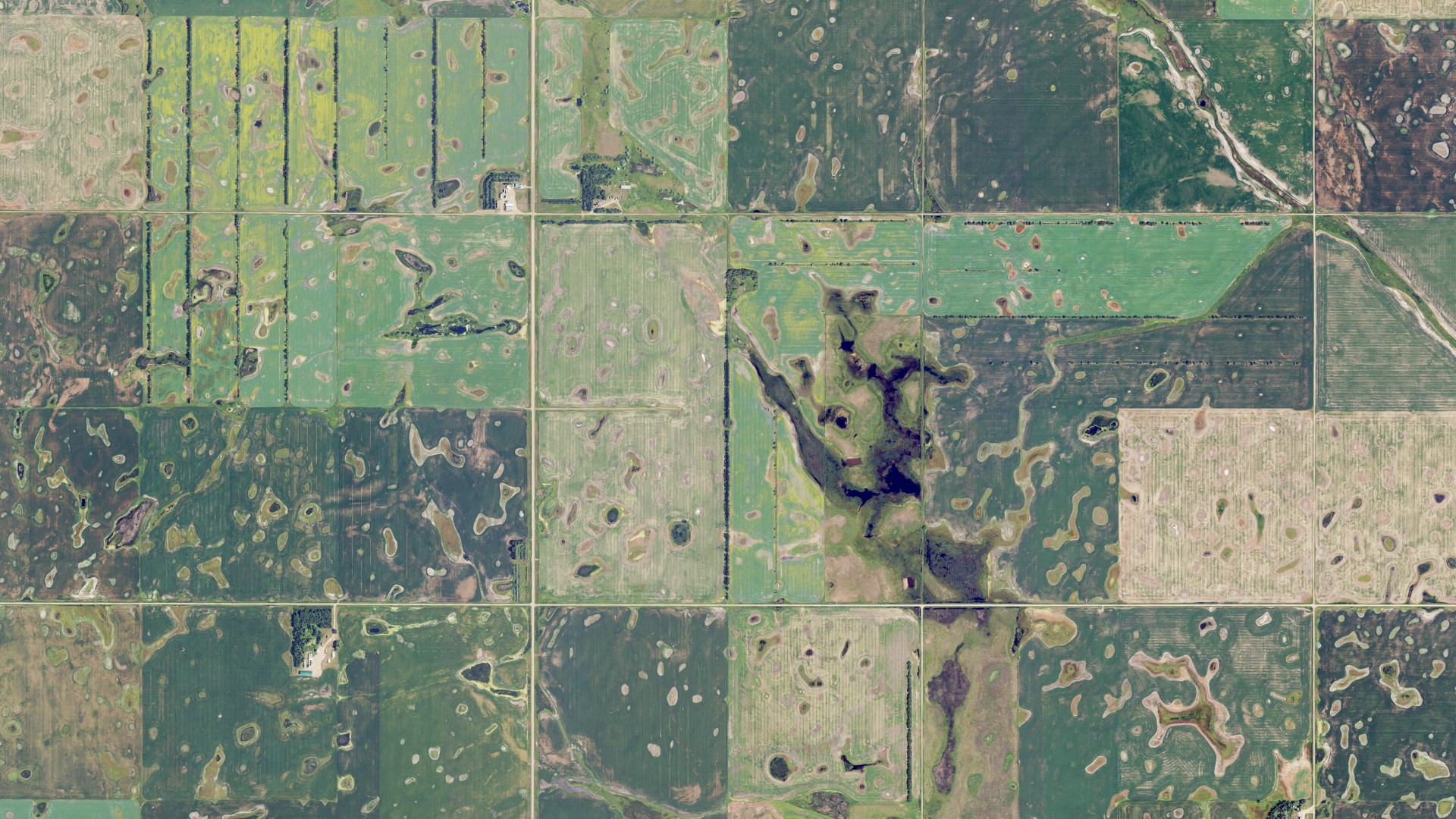 Natural-color aerial photograph of land around Lockwood, North Dakota
