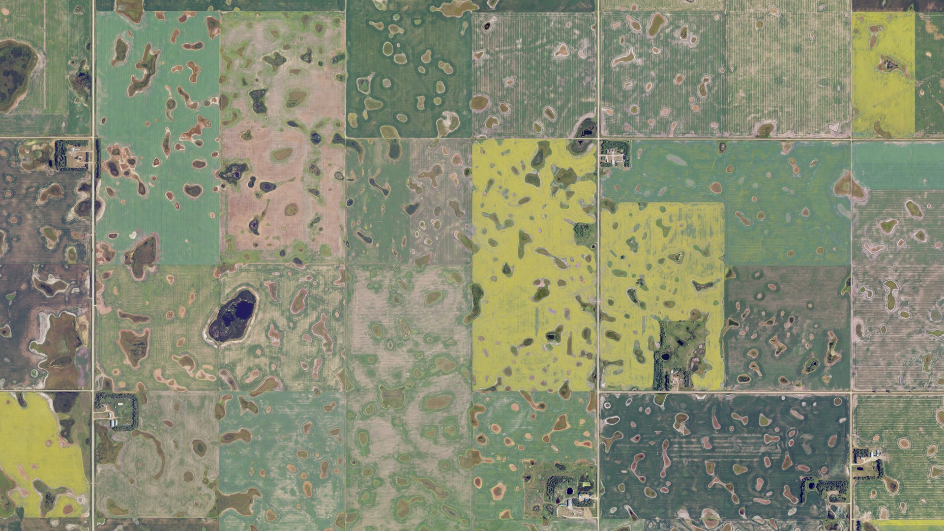 Aerial view of land around Rockford, North Dakota