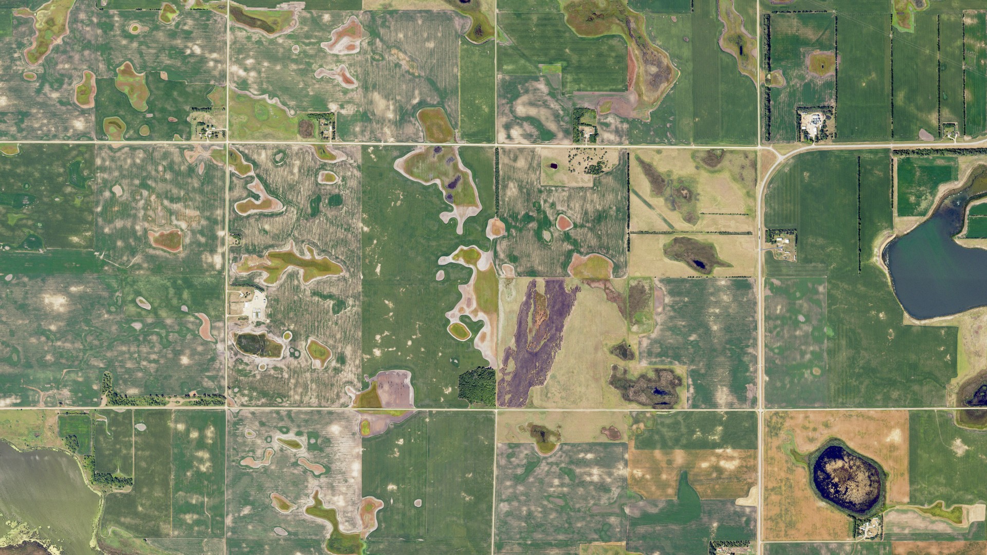 Aerial view of land around Dexter, North Dakota