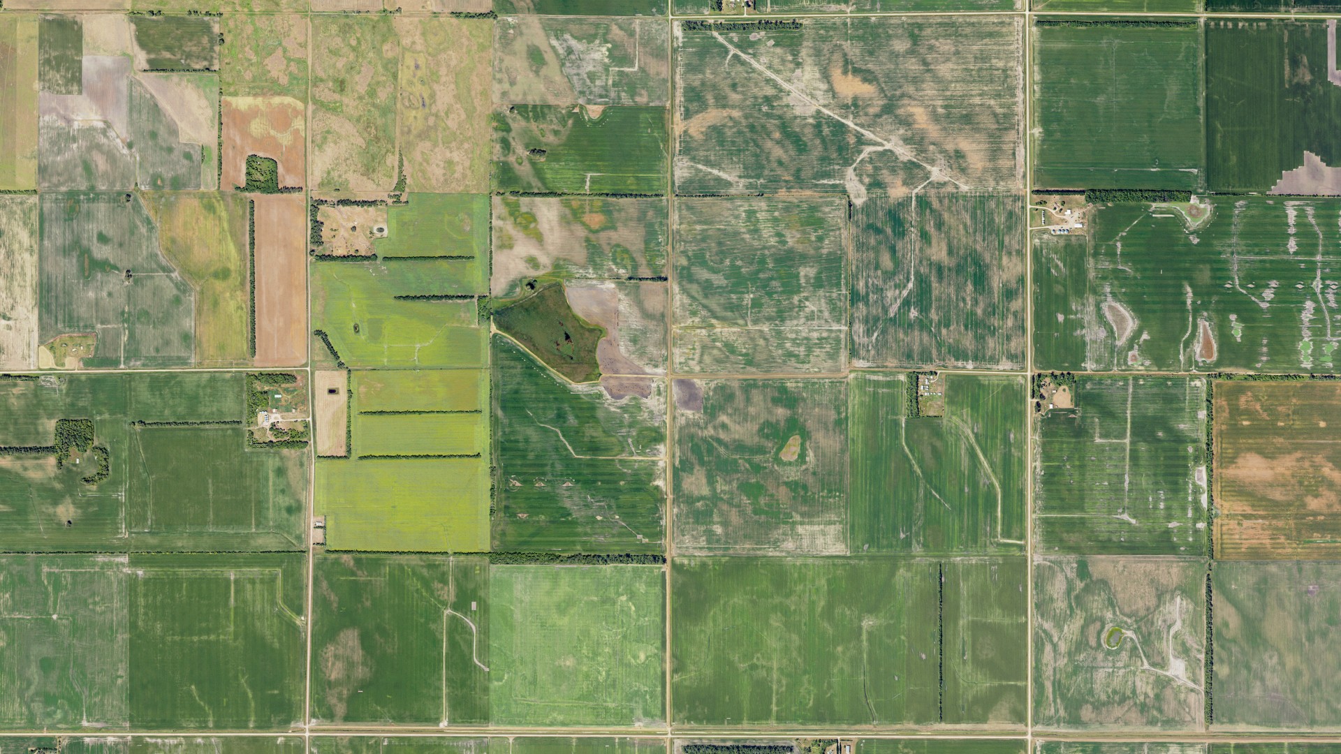 Natural-color aerial photograph of land around Garborg, North Dakota