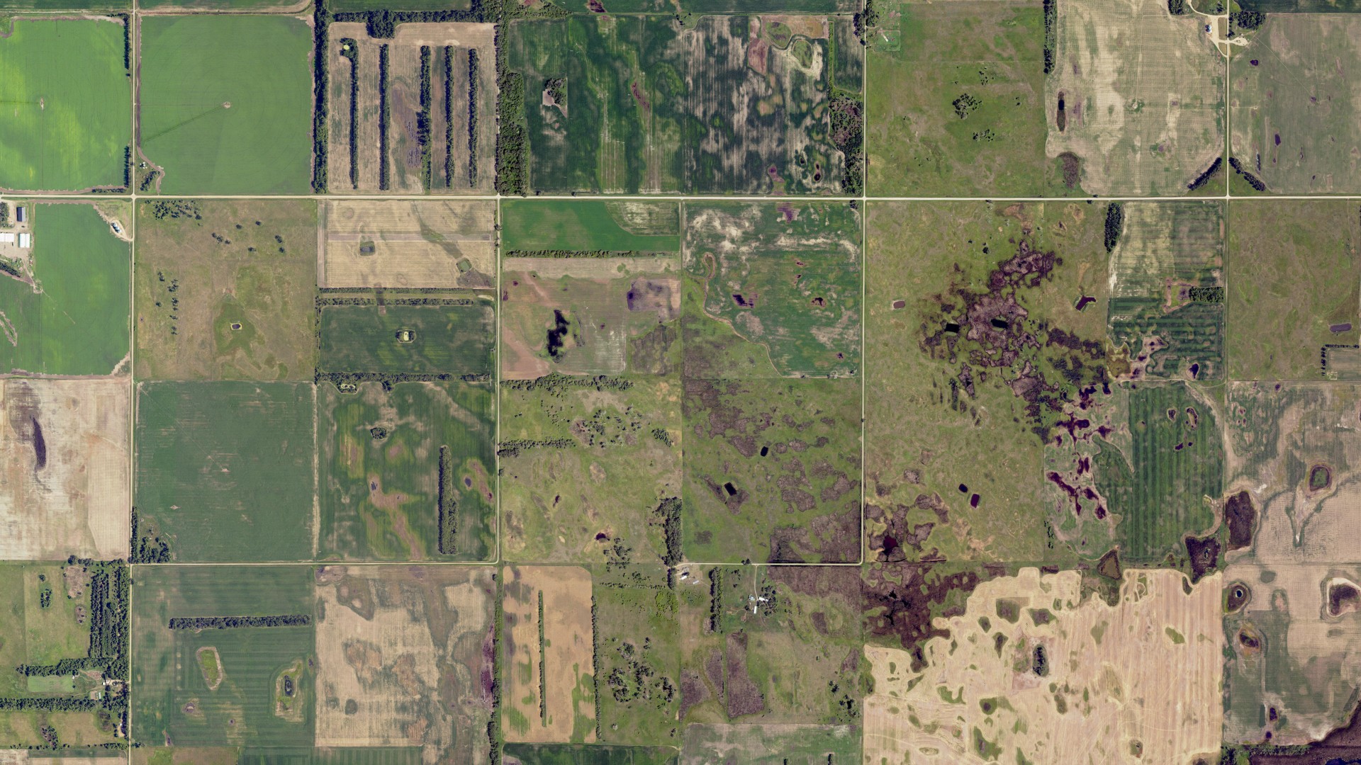 Aerial view of land around Brampton, North Dakota