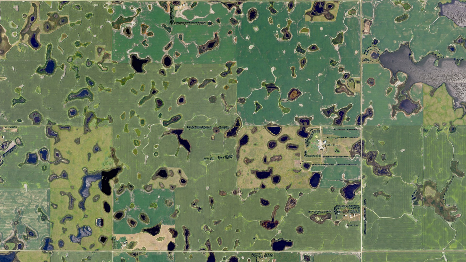 Aerial view of land around Forman, North Dakota