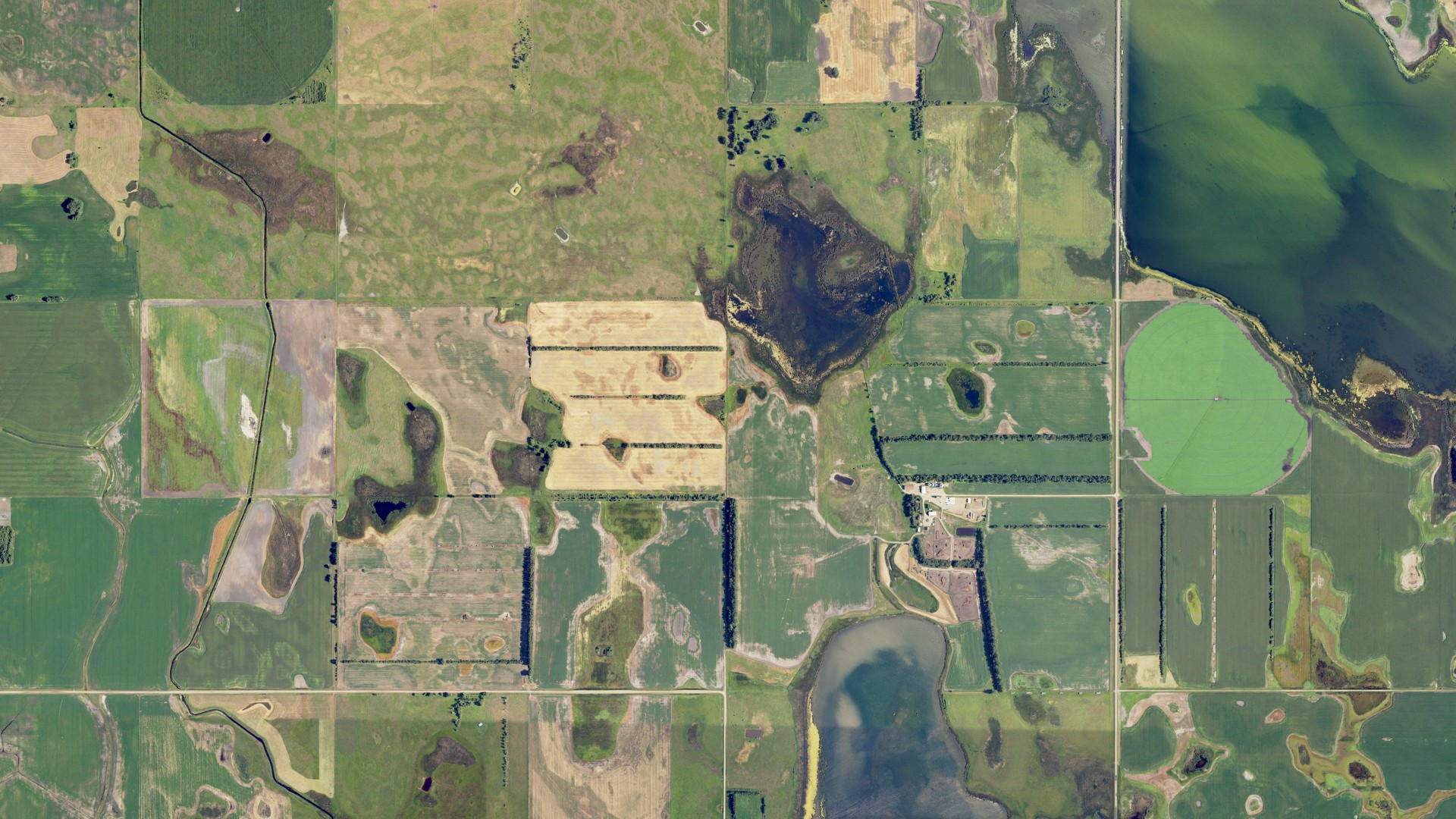 Aerial view of land around Harlem, North Dakota