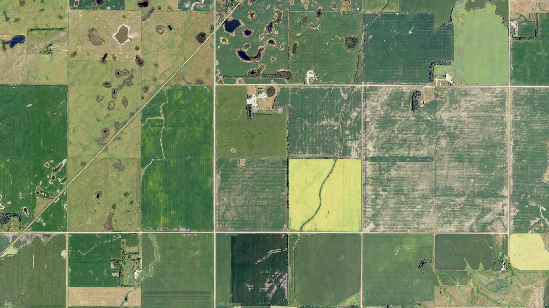 Natural-color aerial photograph of land around Weber, North Dakota
