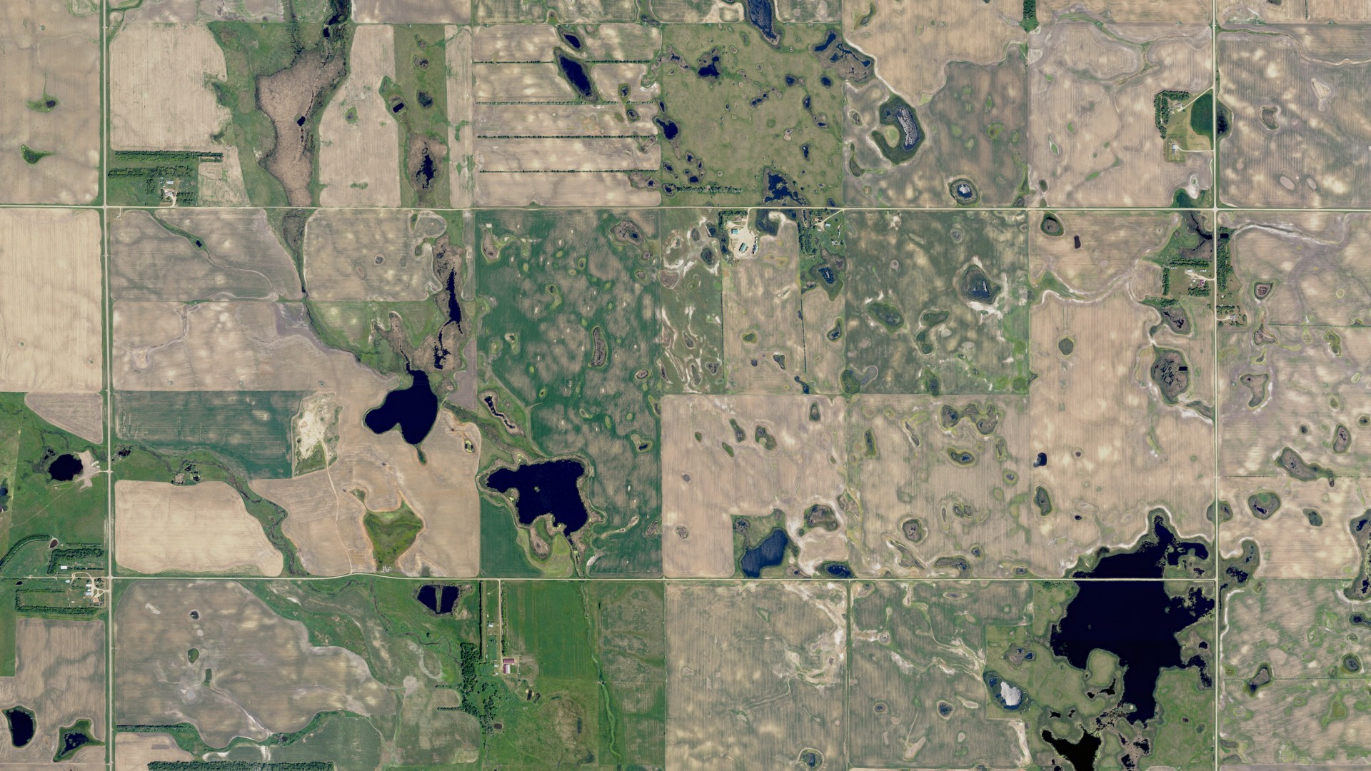 Natural-color aerial photograph of land around Lippert, North Dakota