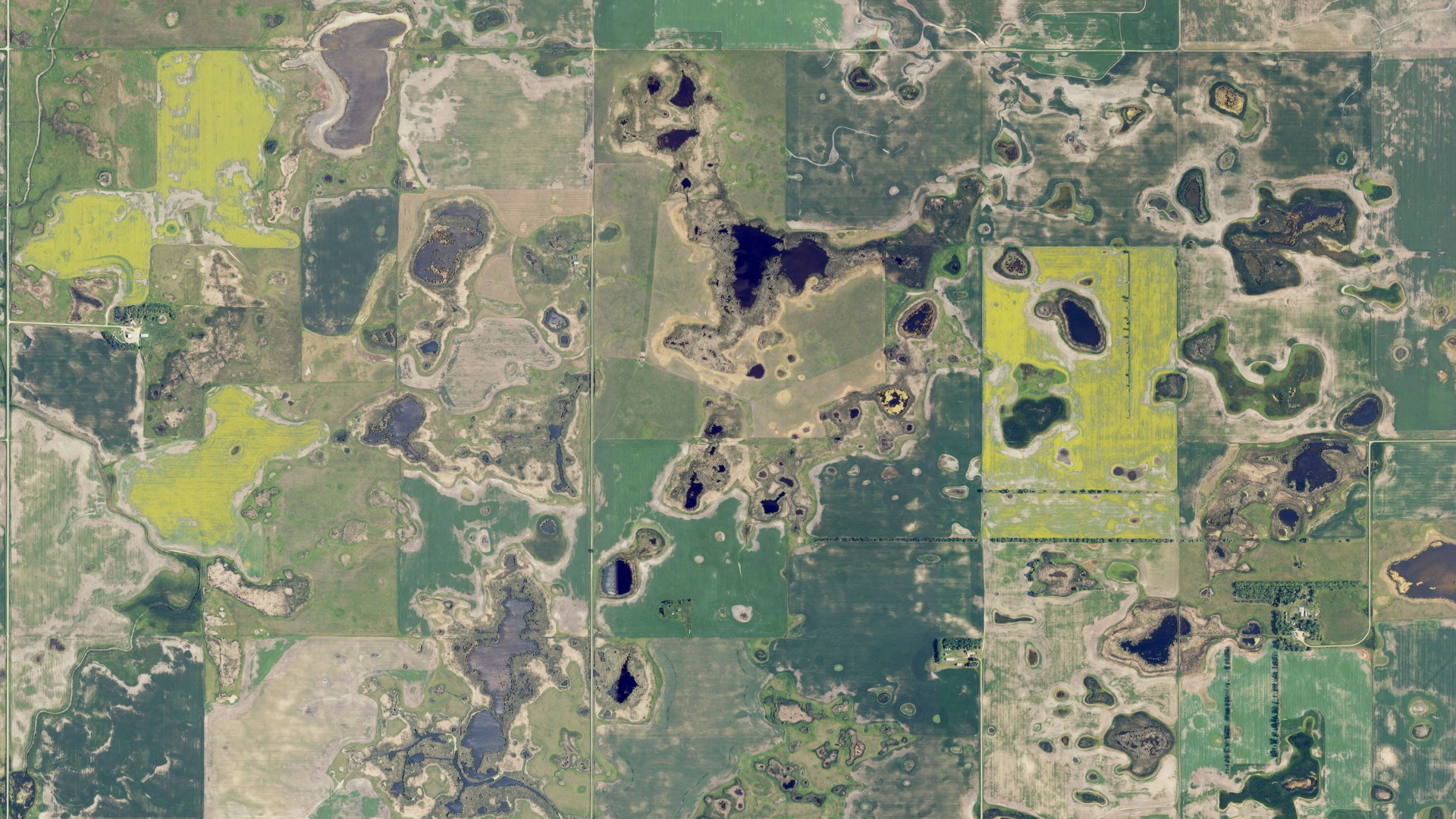 Natural-color aerial photograph of land around Atkins, North Dakota