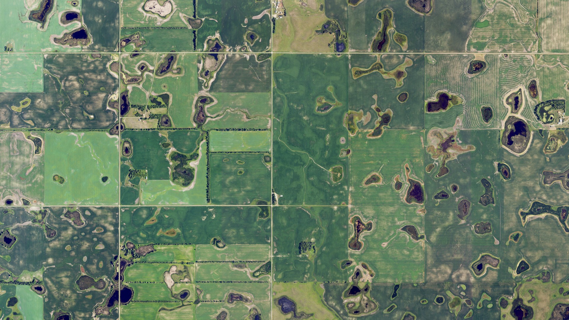 Natural-color aerial photograph of land around Sorenson, North Dakota