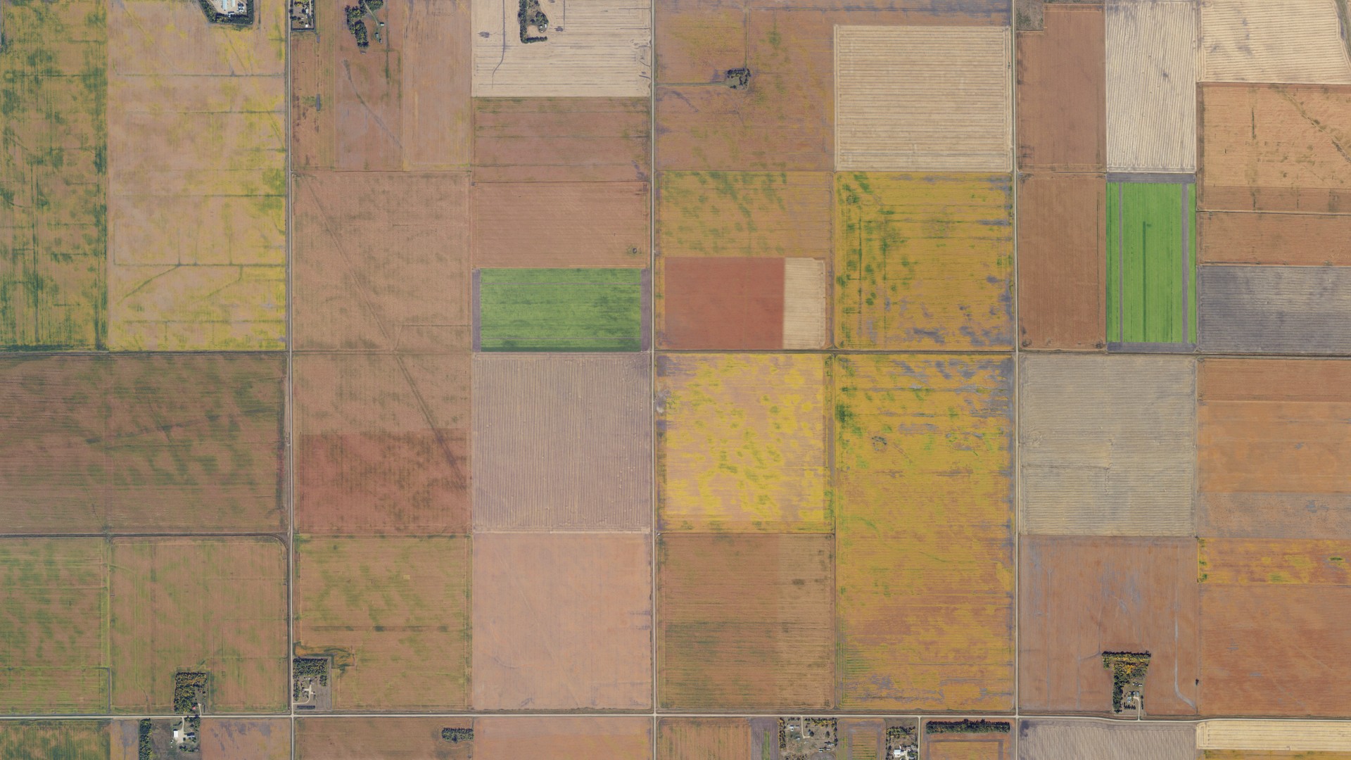 Aerial view of land around Mayville, North Dakota
