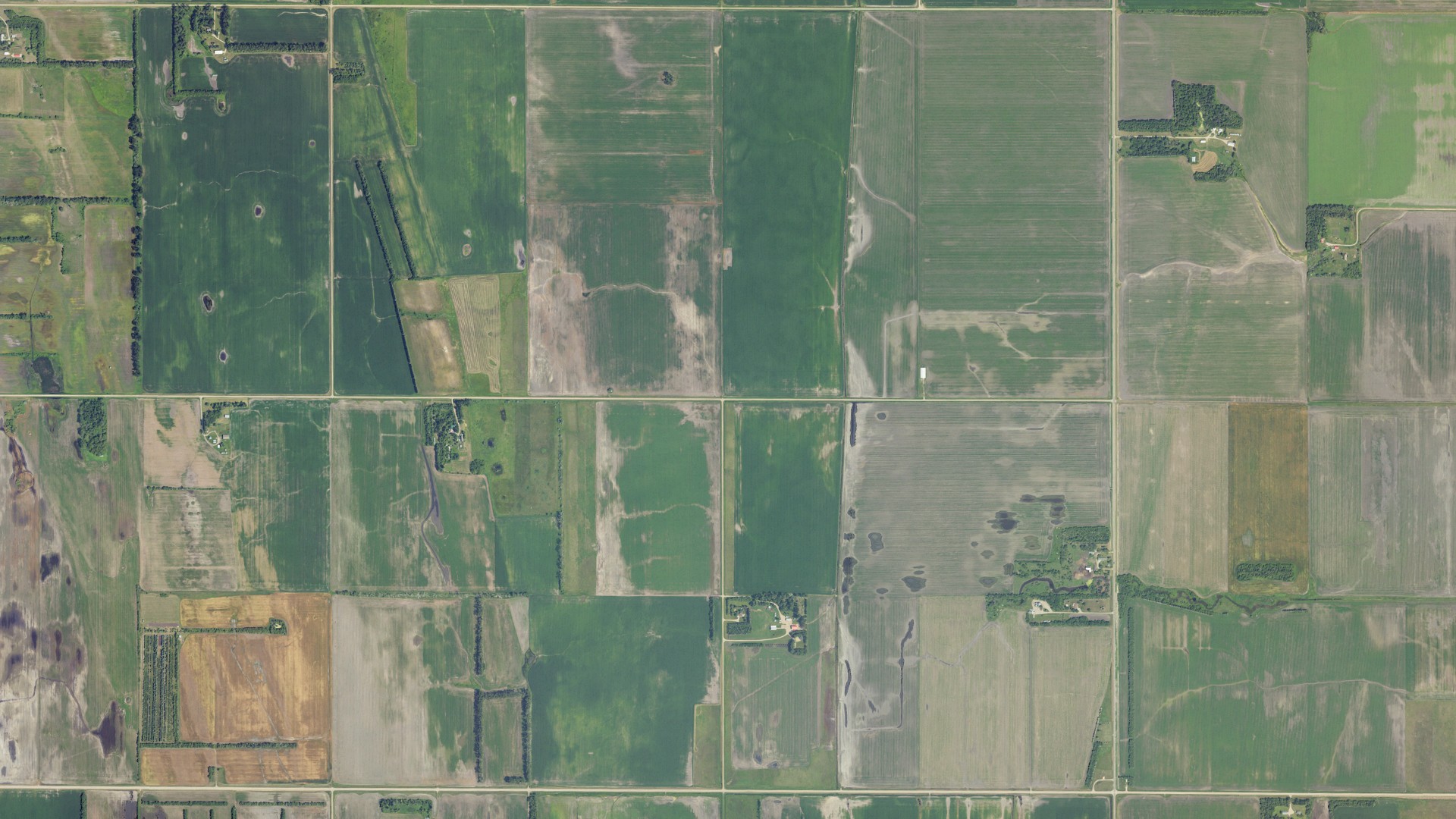 Aerial view of land around Roseville, North Dakota