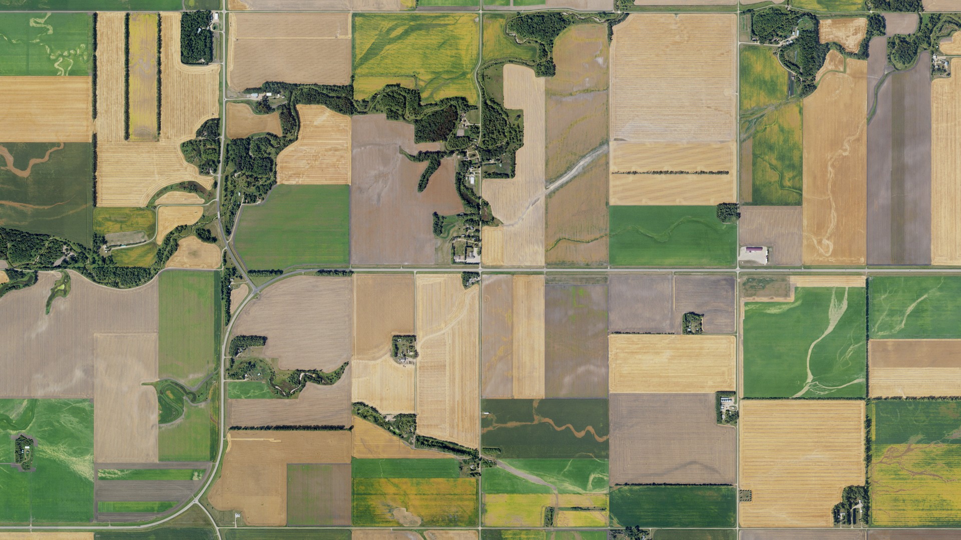 Aerial view of land around Fertile, North Dakota