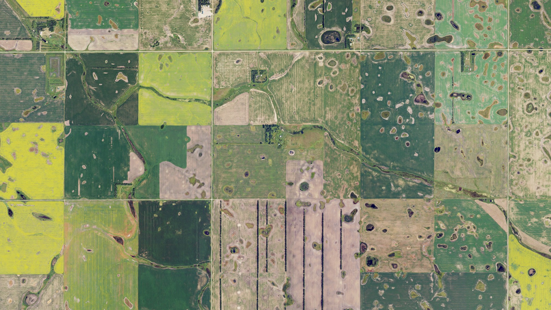 Natural-color aerial photograph of land around McKinley, North Dakota