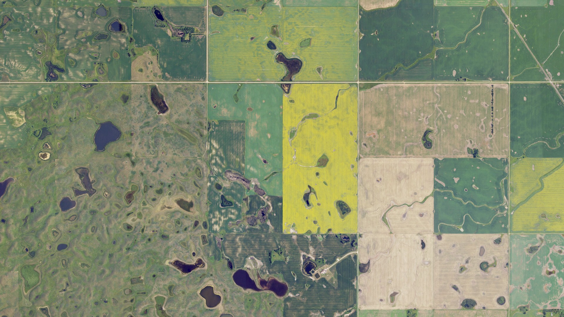 Aerial view of land around Ree, North Dakota