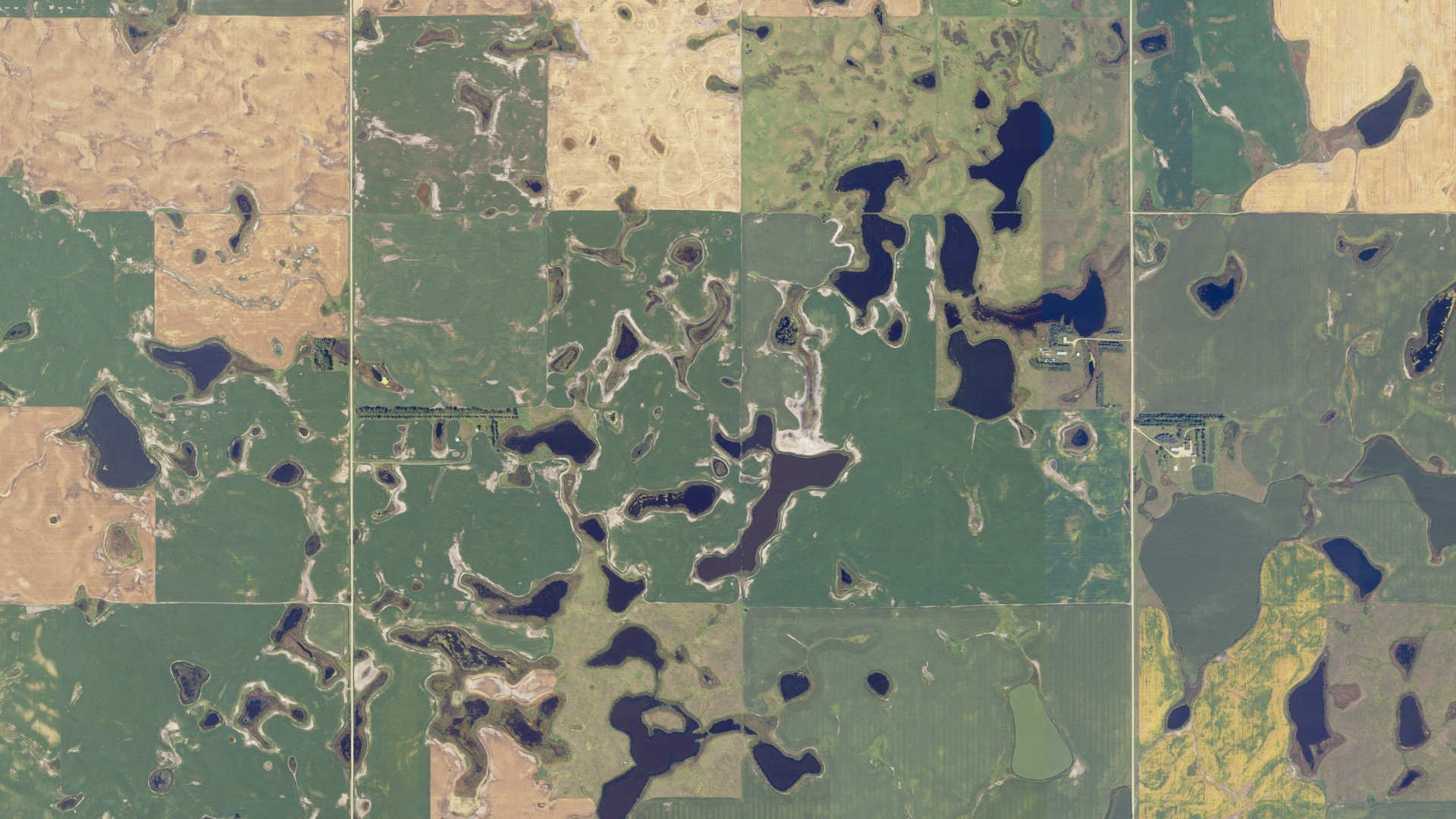Aerial view of land around Progress, North Dakota