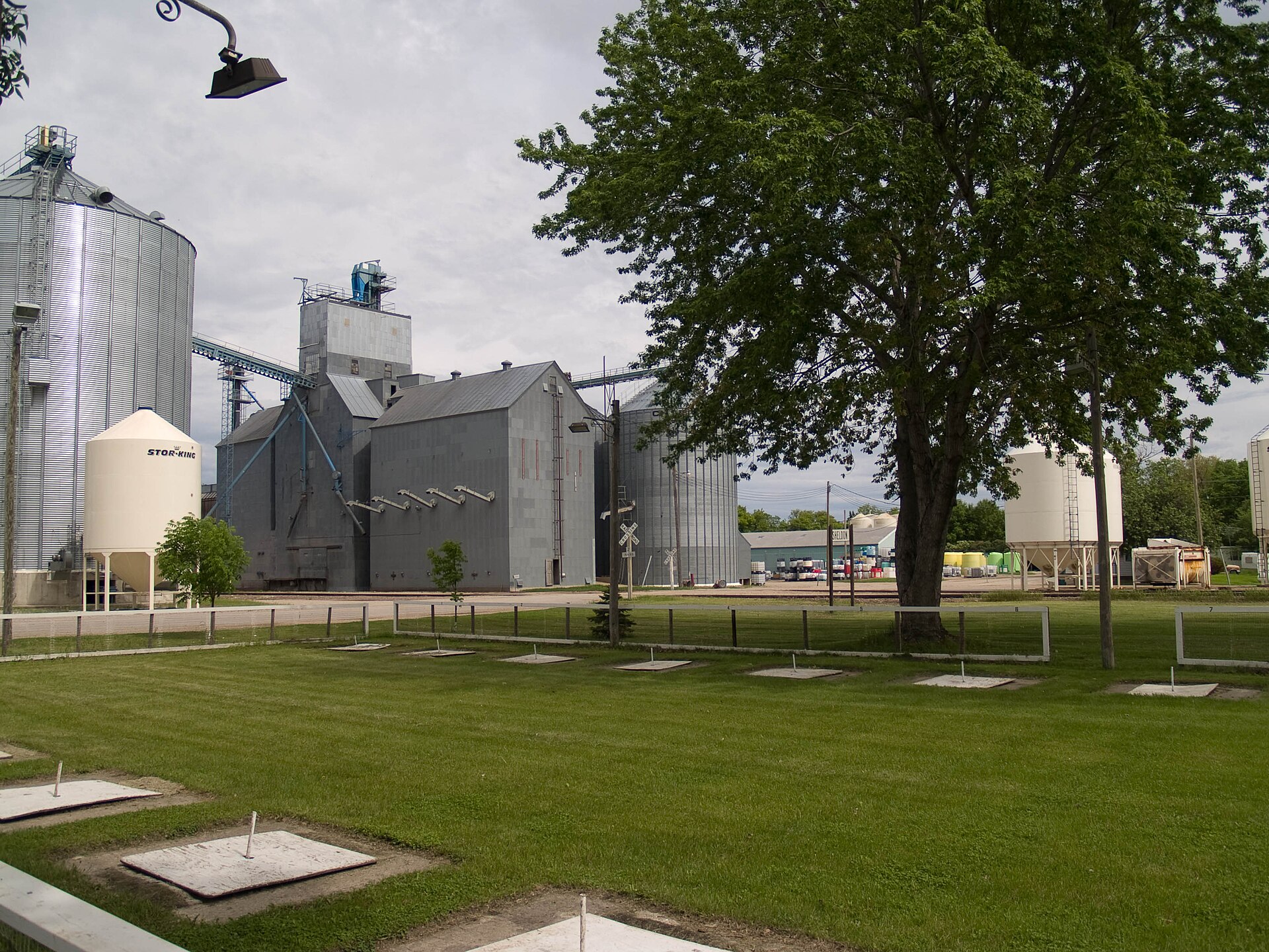Outdoor view in Sheldon, North Dakota