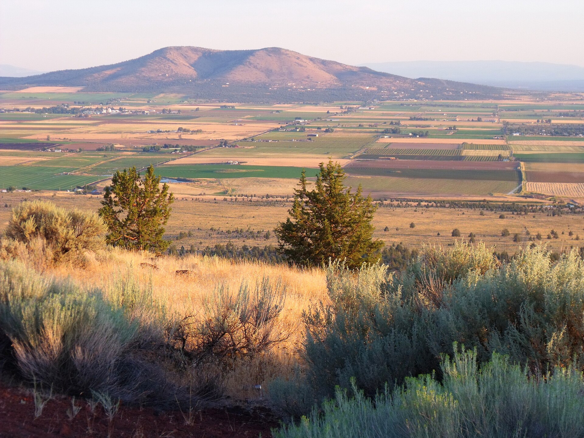 Agricultural fields in Culver, Oregon—a city in Jefferson County—as seen from the summit of Round Butte
