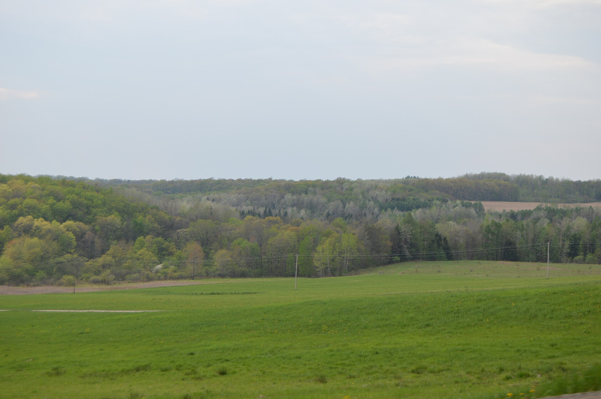 Fields and woodlands off the western side of Pennsylvania Route 38 in southern Cherry Valley, Pennsylvania, United States.