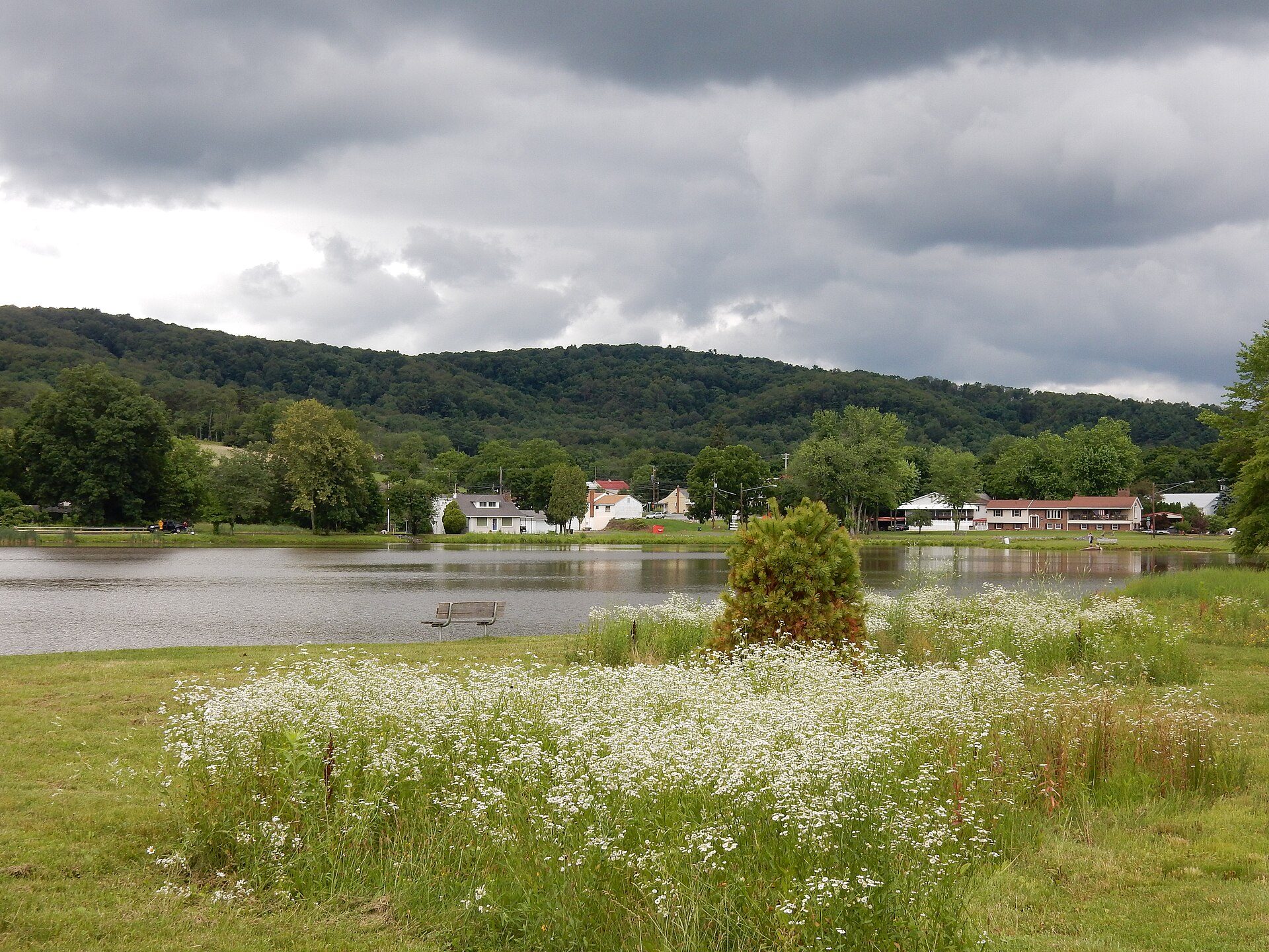Lake and shoreline in Deer Lake, Pennsylvania