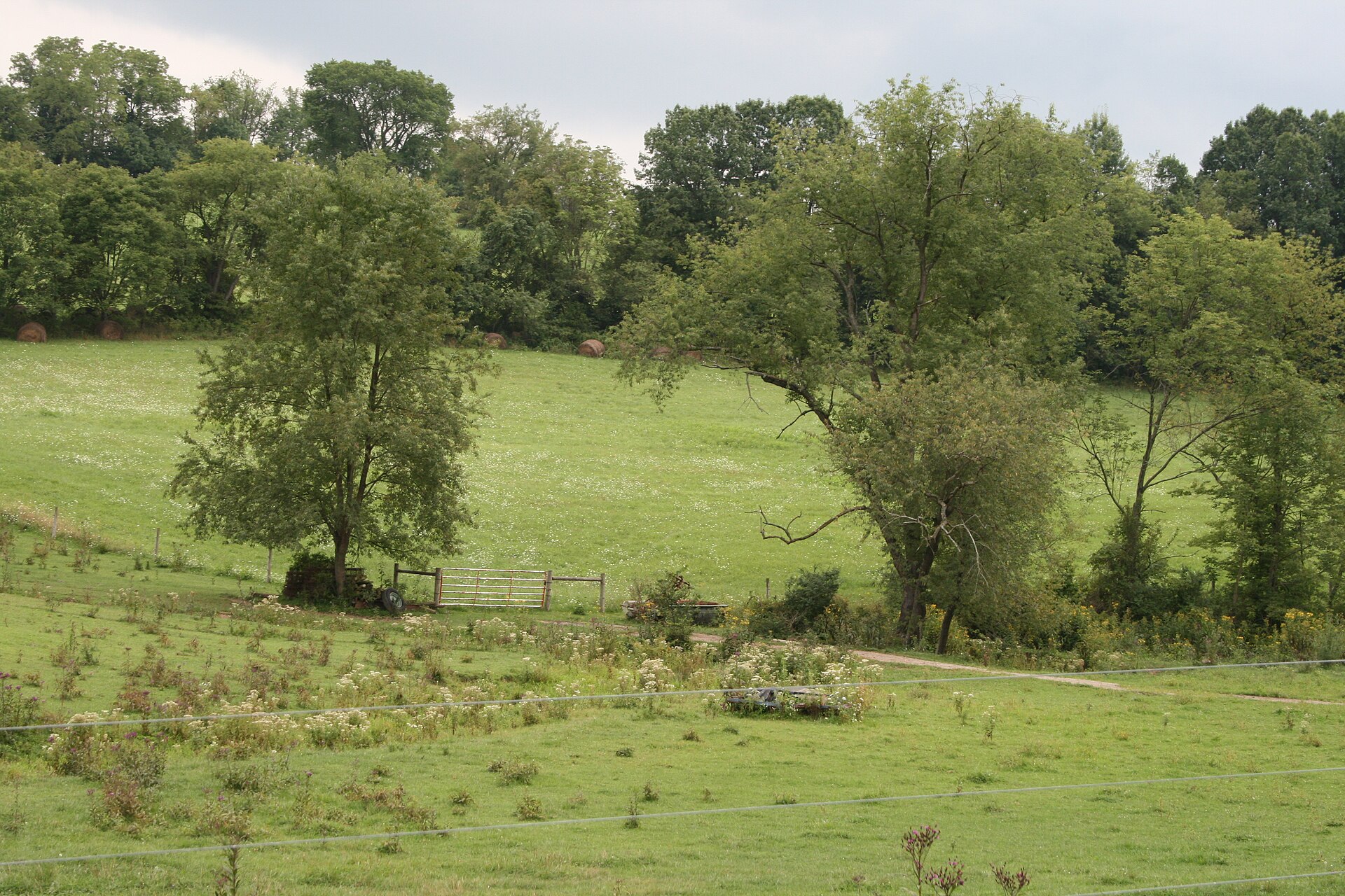 A view of a typical pastoral scene in Eighty-Four, Pennsylvania. — Eighty Four, Pennsylvania