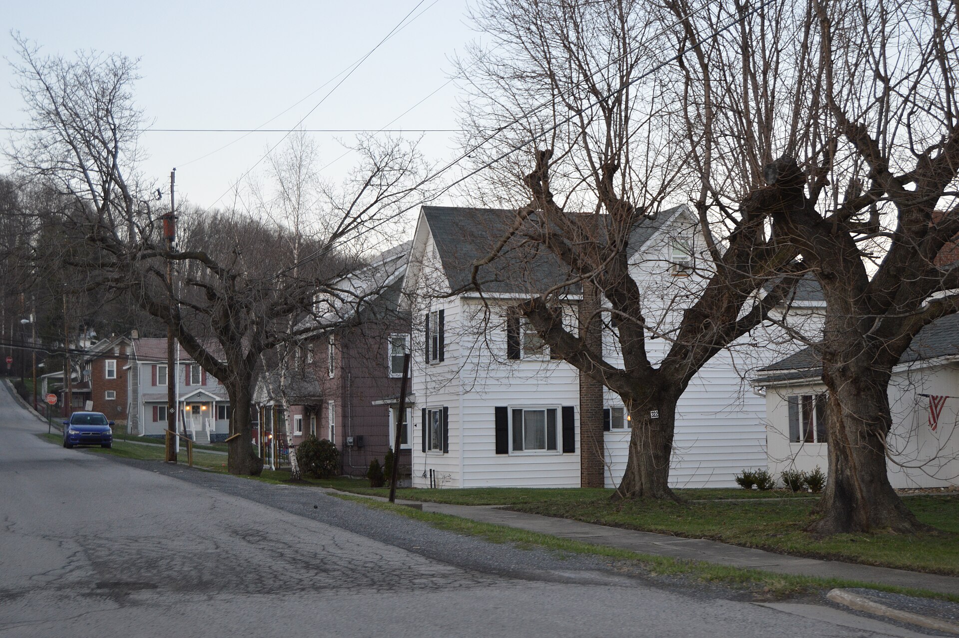 Houses along Hopkins Street, seen looking north from Rose Street, in Irvona, Pennsylvania, United States.