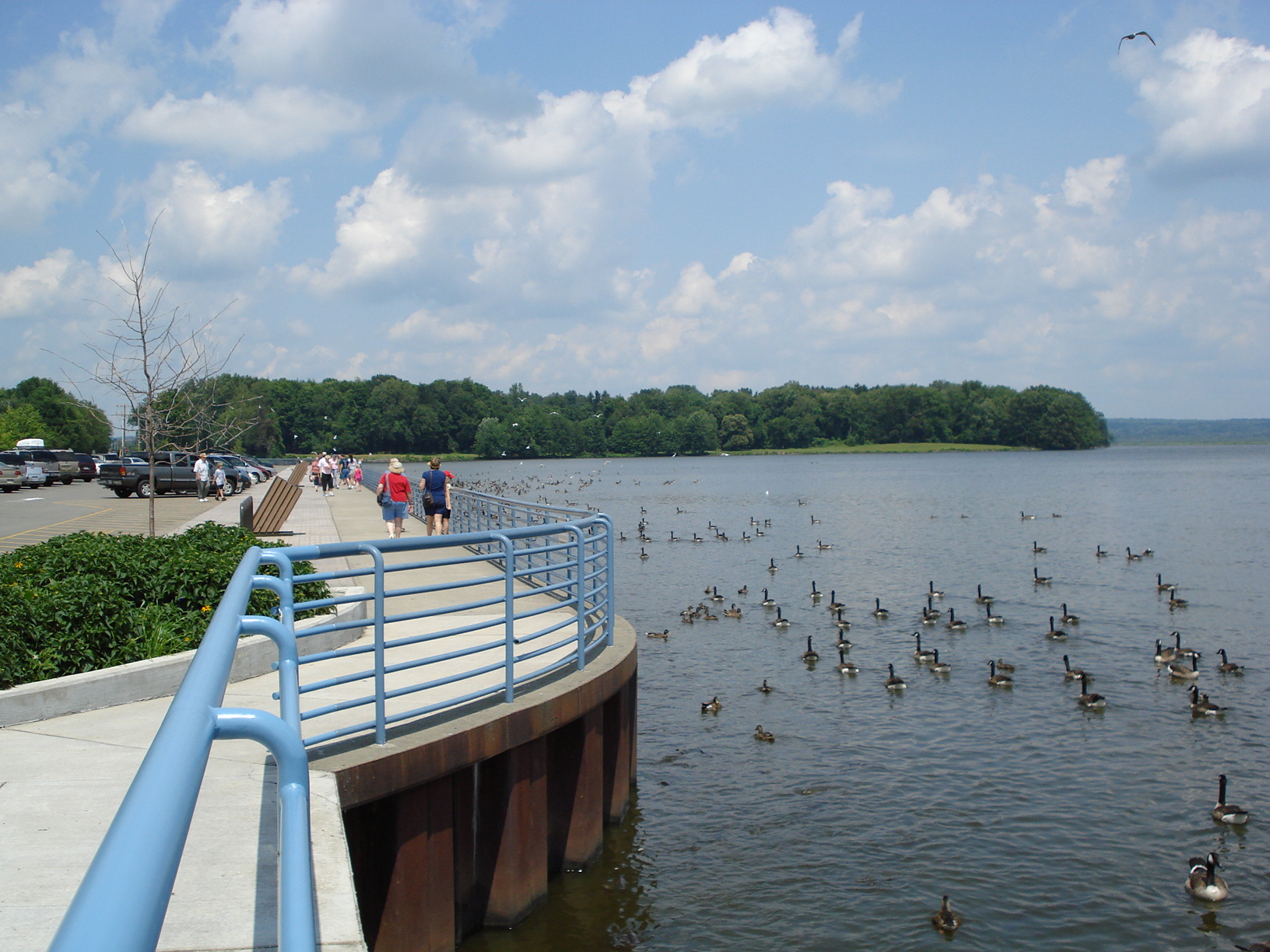 The Pymatuning Reservoir, a man made lake in Ohio and Pennsylvania, seen from the Linesville Spillway in Pennsylvania.